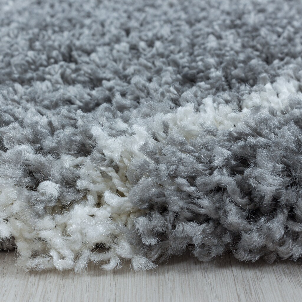 Ayyildiz Teppiche Hochflor-Teppich »ALVOR 3401«, rechteckig, Wohnzimmer