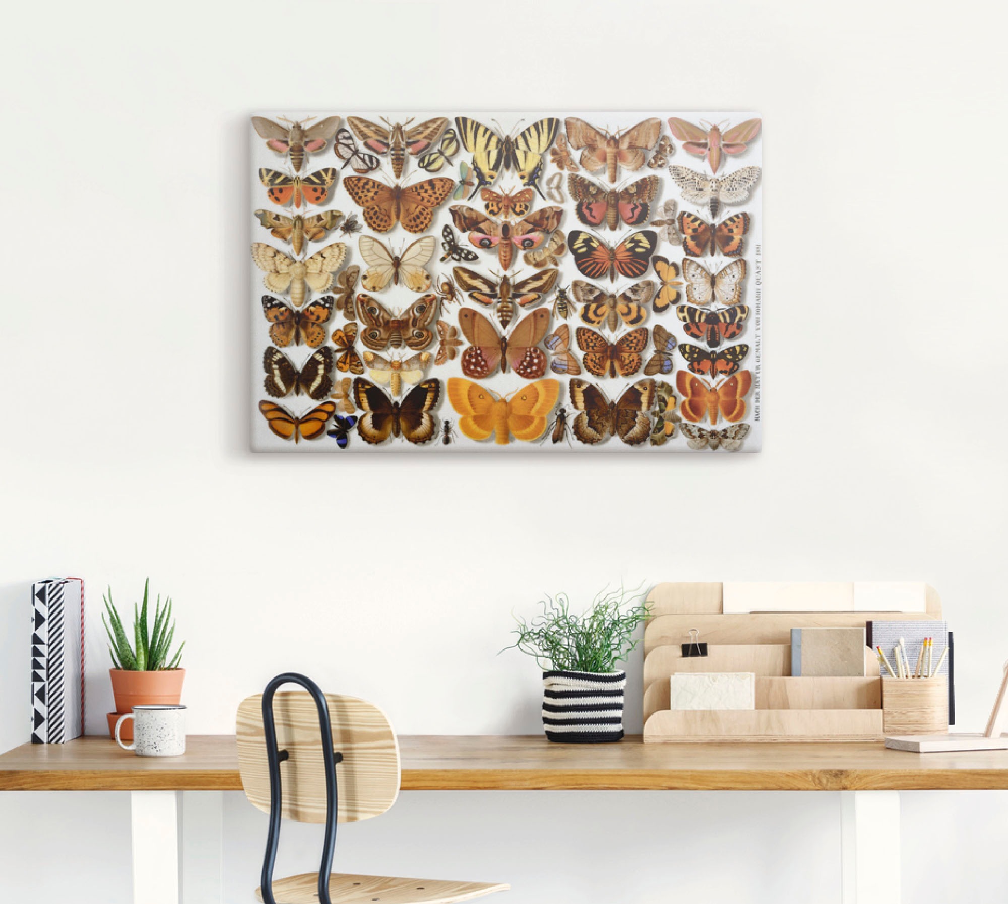 Artland Kunstdruck »Schmetterlinge. Porzellanmalerei. 1881«, Insekten, (1 St.), als Alubild, Leinwandbild, Wandaufkleber oder Poster in versch. Größen