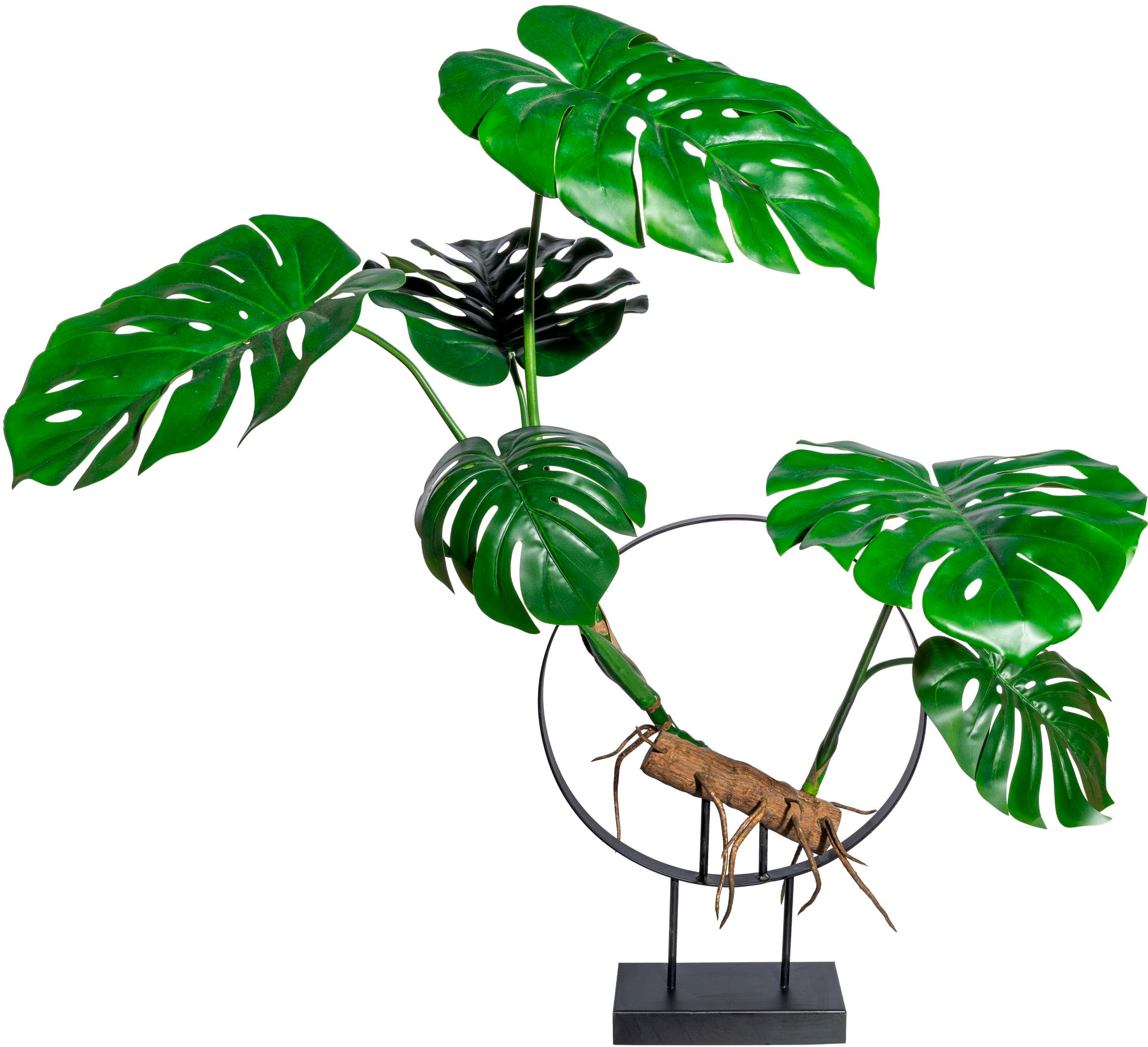 Creativ green Kunstbaum »Dekoobjekt Splitphildendron«
