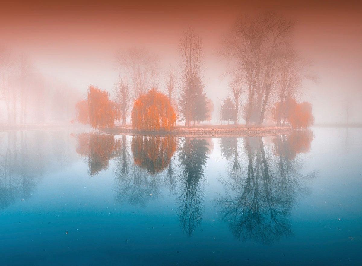 Papermoon Fototapete »Schmetterling auf Blume«