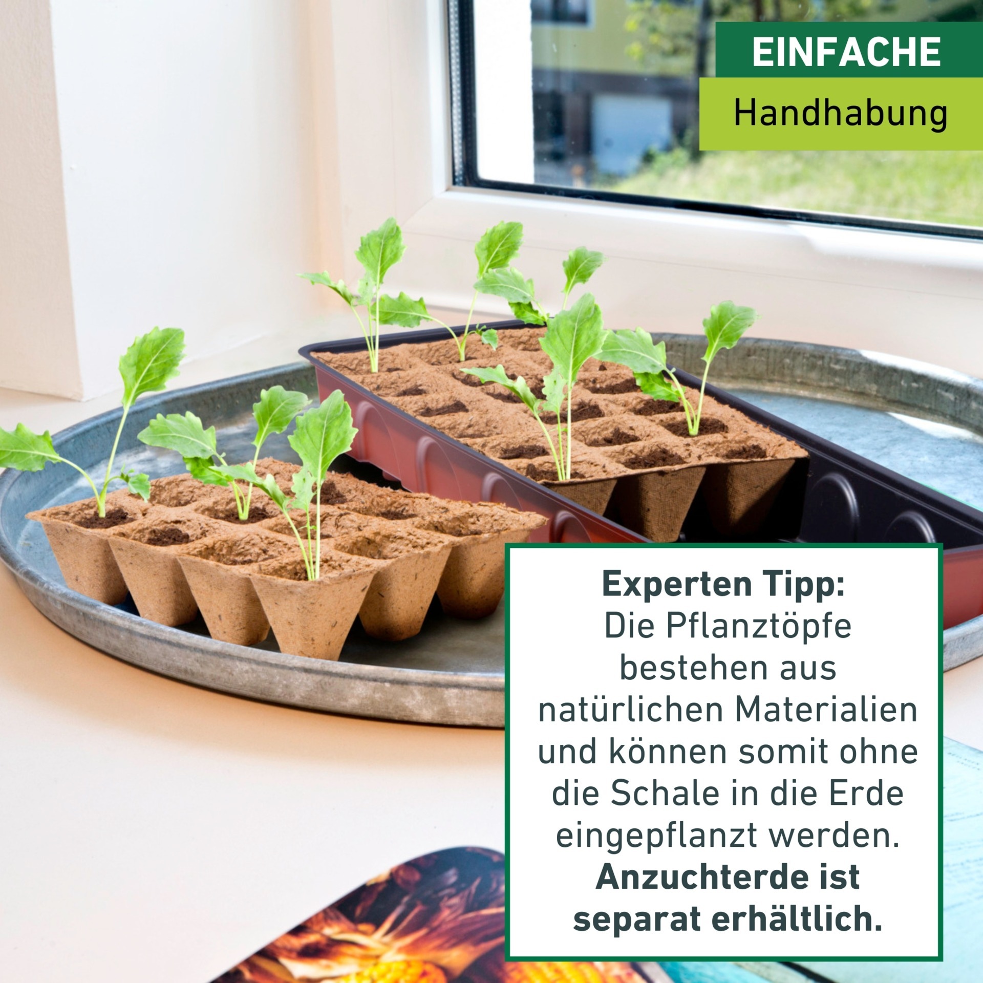 Windhager Gewächshaus »Fensterbank-Treibhaus inkl. 30 Anzuchttöpfe« Zimmer Pflanzen Anzucht, 16,5 x 54,4 x 12 cm, terracotta