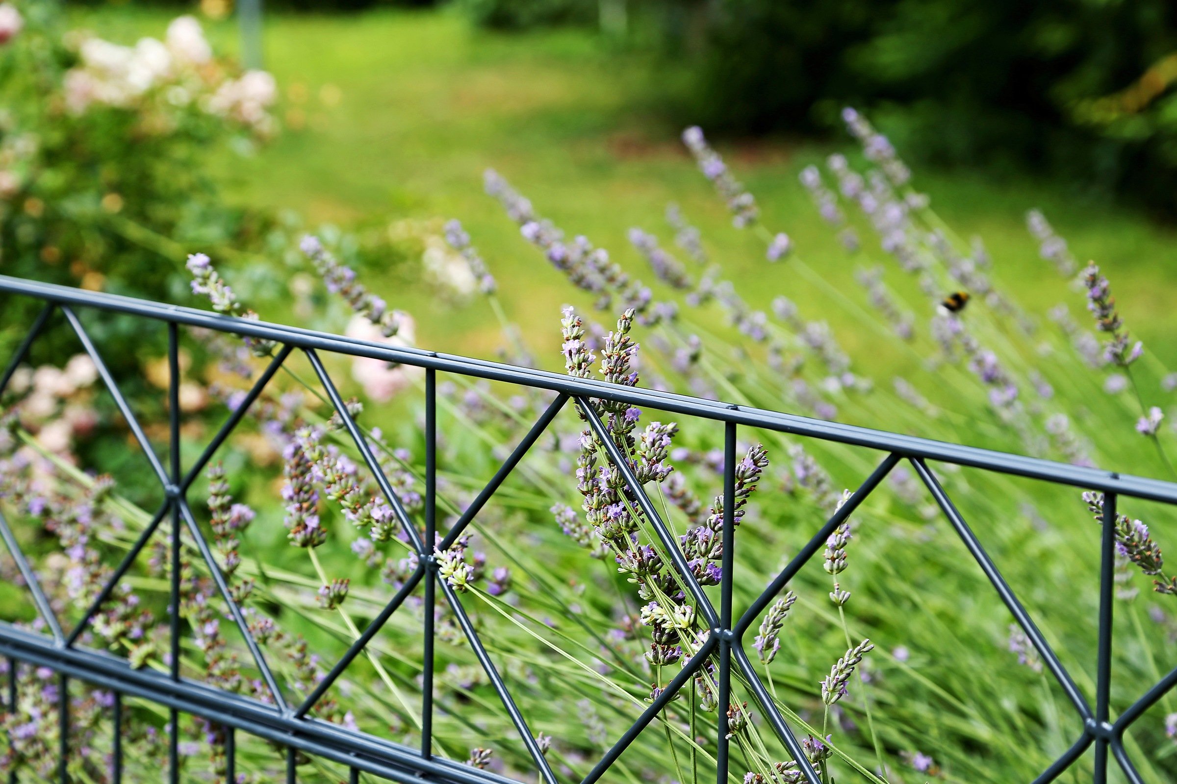 Alberts Doppelstabmattenzaun "Bergen" anthrazit, Höhe: 100-160cm, Gesamtlän günstig online kaufen