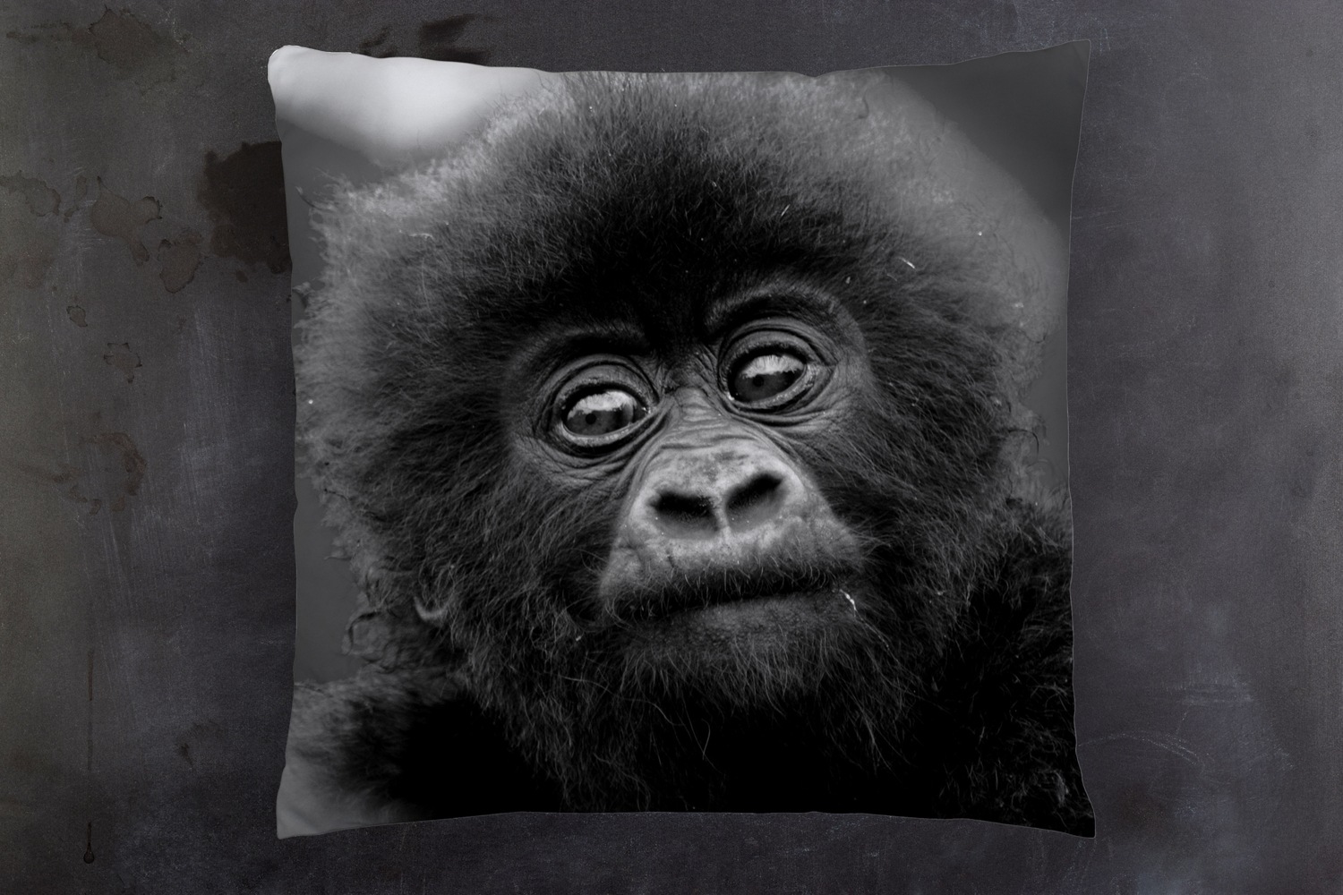 queence Dekokissen »Affen Baby«, Kissenhülle mit HD Premium Druck, geruchsneutral, 40x40cm