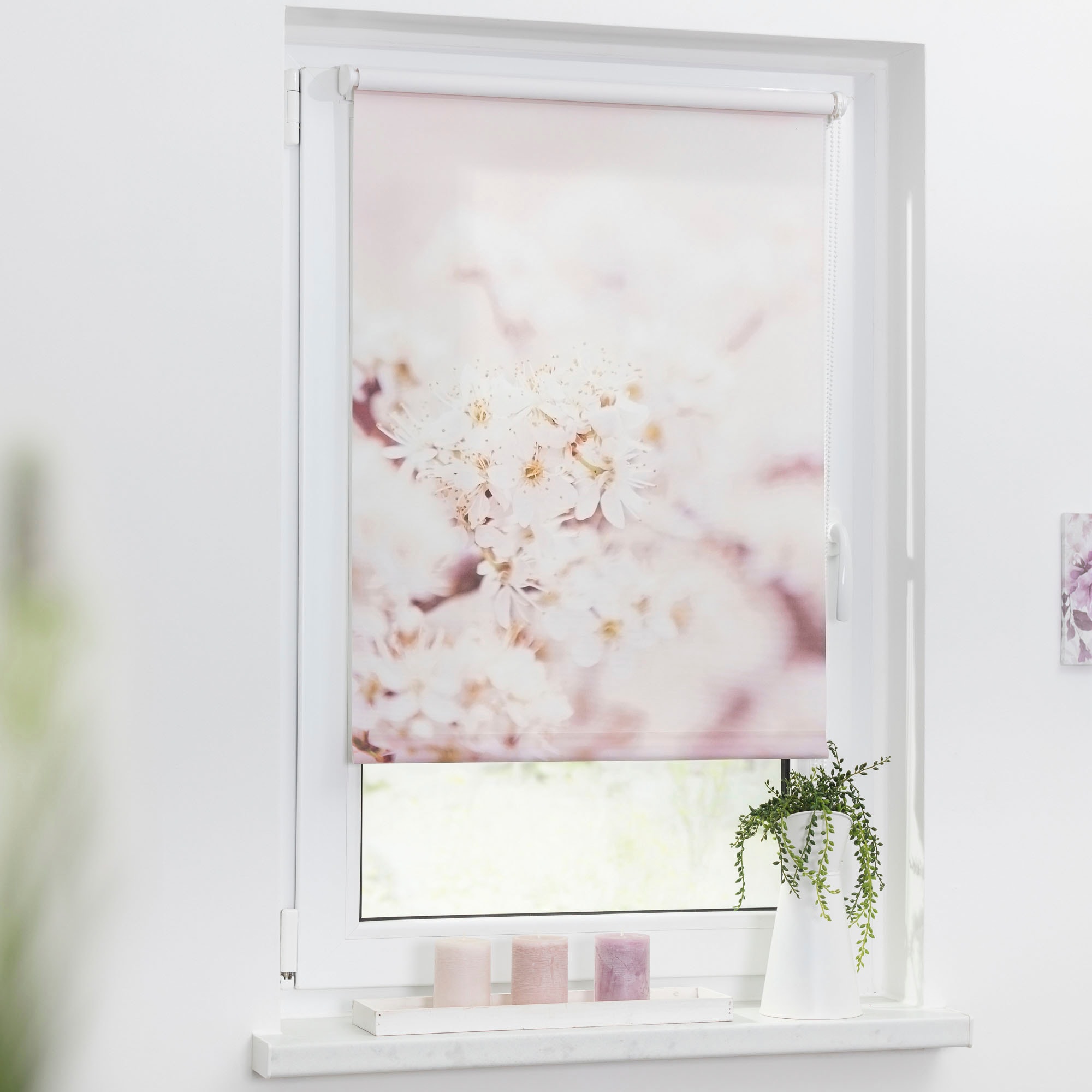 BAUR Bohren, bedruckt Seitenzugrollo freihängend, Kirschblüten«, | ORIGINAL ohne Motiv Lichtschutz, LICHTBLICK »Klemmfix