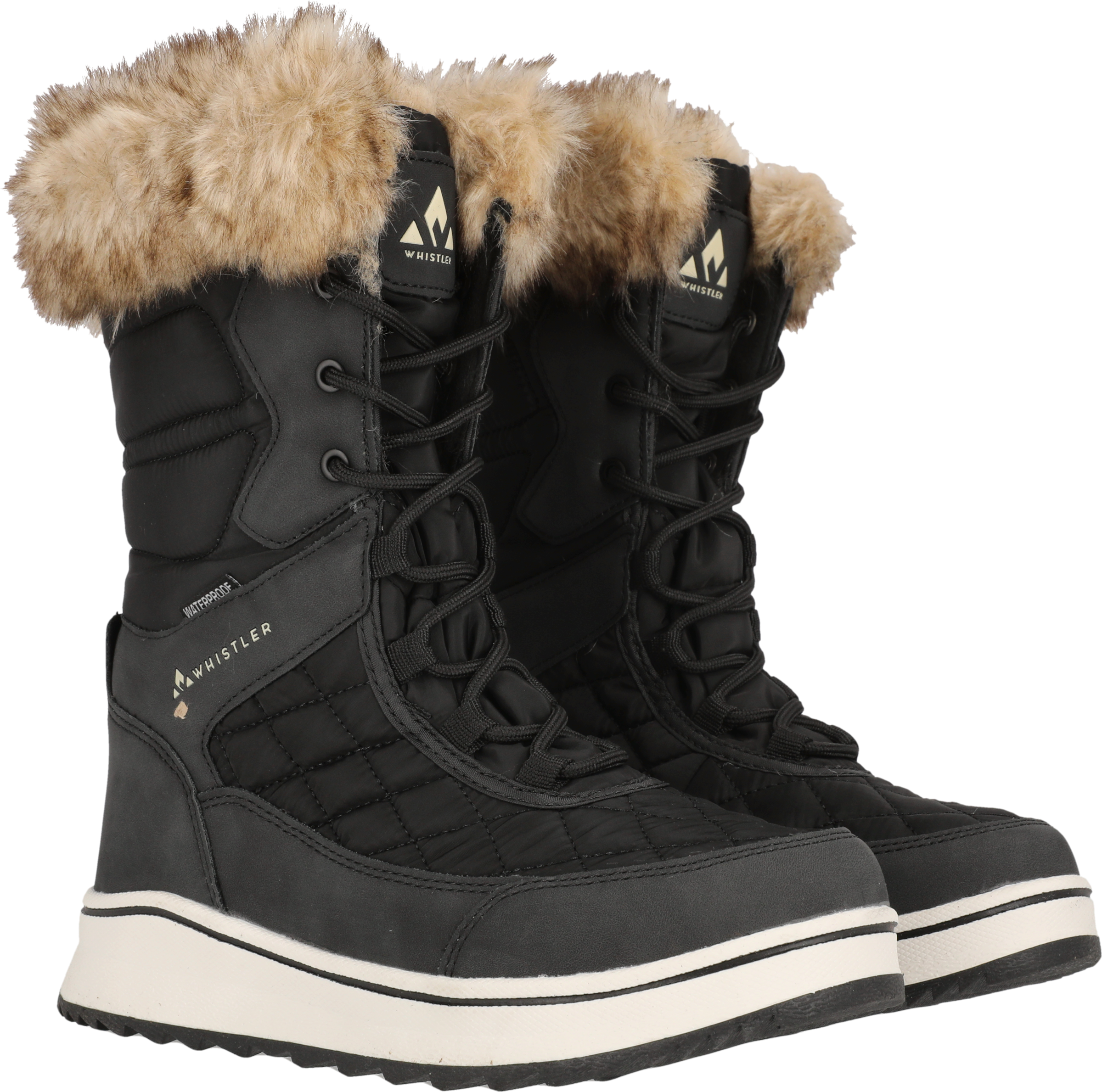 WHISTLER Winterboots »EEWYE W BOOT WP V2«  Winterschuhe, Winterboots, Snowboots, wasserdicht