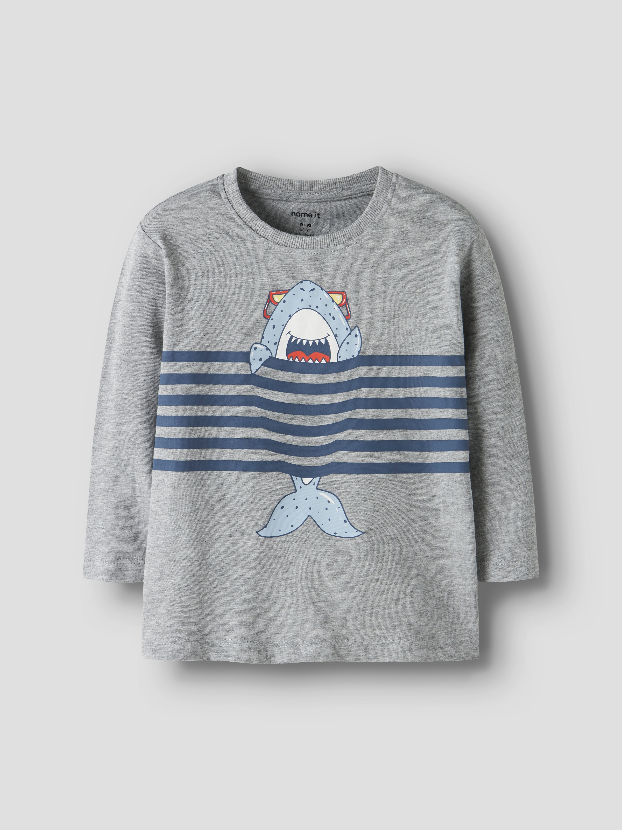 Name It Langarmshirt »NMMVILASSE 2P LS NREG TOP« Packung, 2