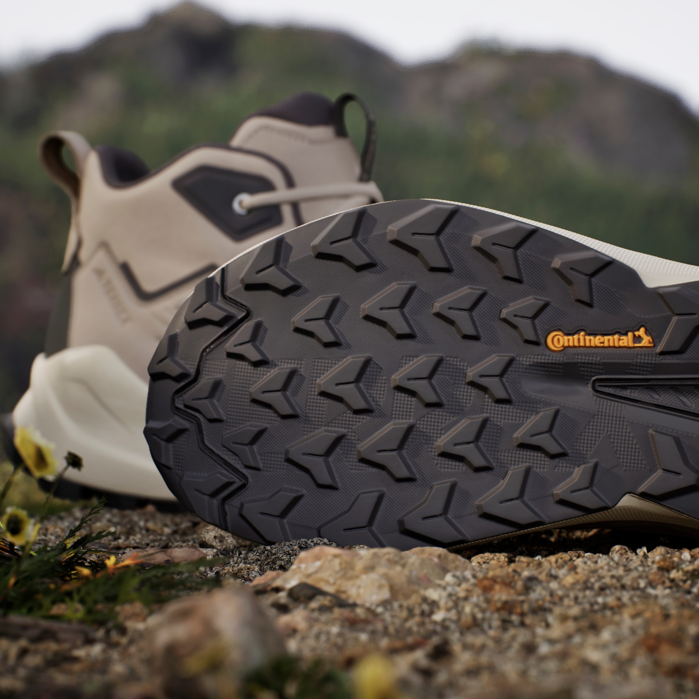 adidas TERREX Wanderschuh »TERREX TRAILMAKER 2.0 LEATHER«