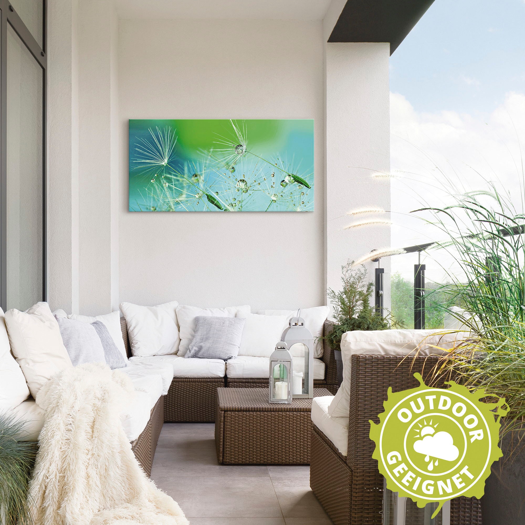 Artland Wandbild »Glitzernde Pustblumen mit Wassertropfen«, Blumen, (1 St.), als Alubild, Outdoorbild, Leinwandbild in verschied. Größen