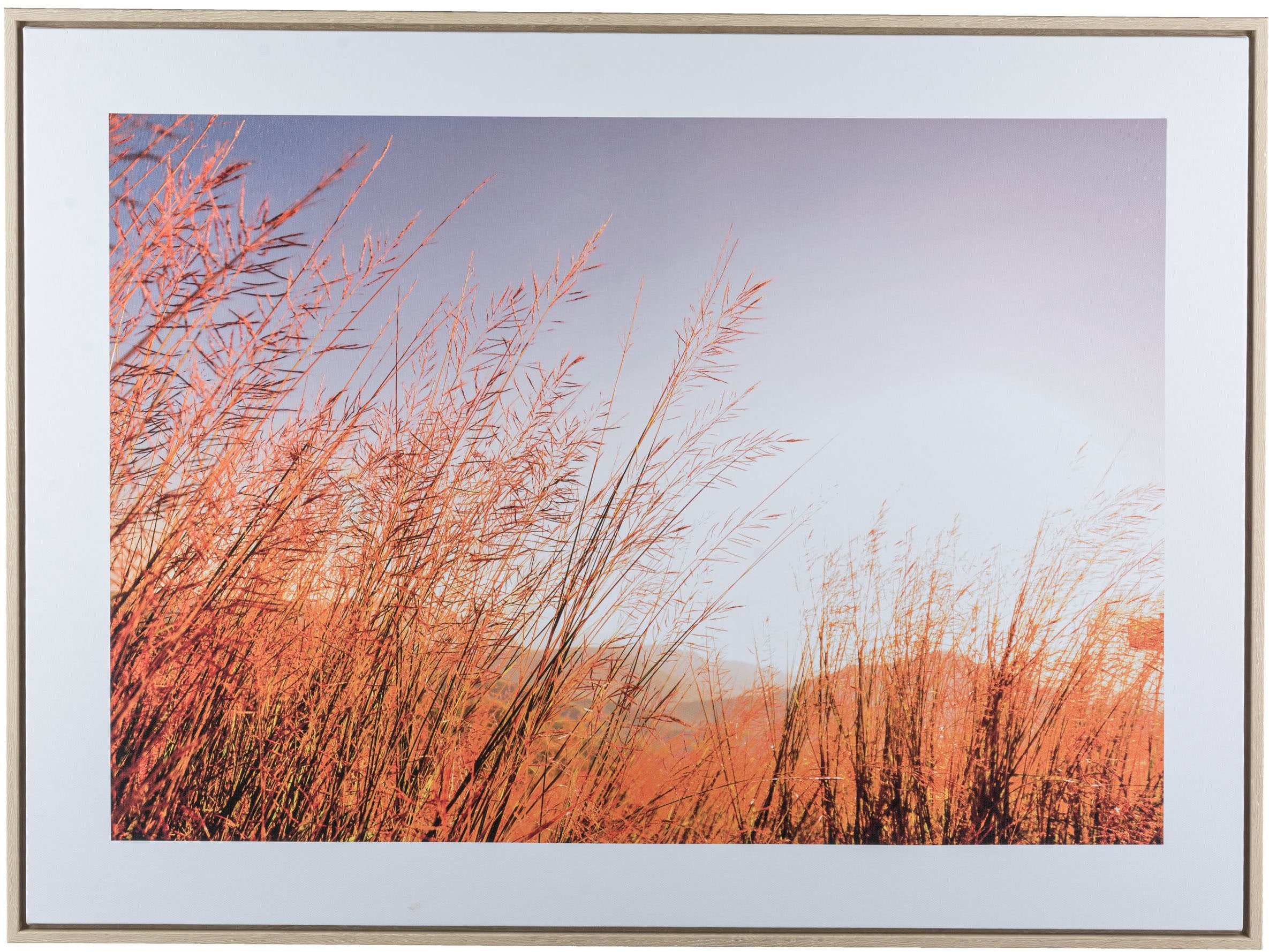 Creativ home Bild mit Rahmen "Wiese", (1 St.), mit besonderer Lichtstimmung günstig online kaufen