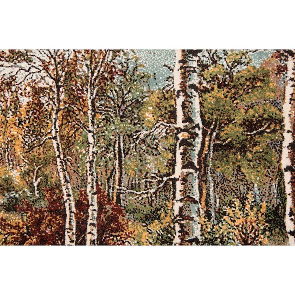 morgenland Wandteppich »Bild-Teppich Figurativ 110 x 82 cm«, rechteckig, besonders weich durch Microfaser