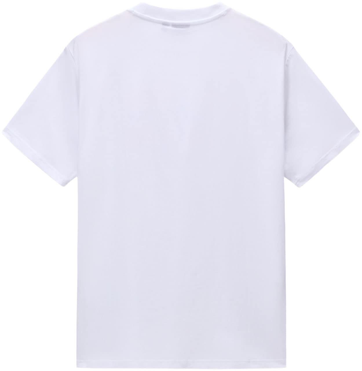 Napapijri T-Shirt »DRAPEAU«, mit Print, Rundhals, Jersey