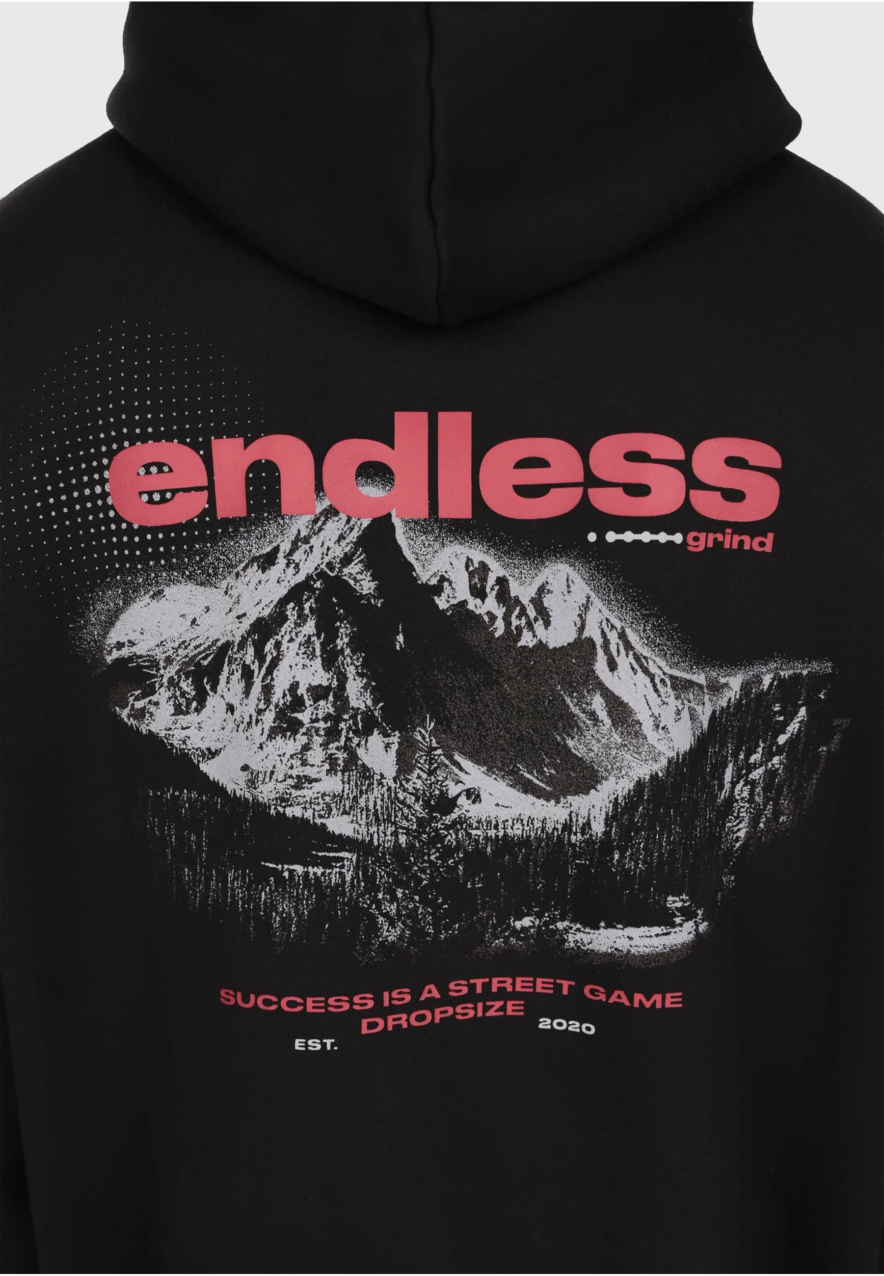 Dropsize Kapuzensweatshirt »Dropsize GRIND HOODIE«, 1 Stk.
