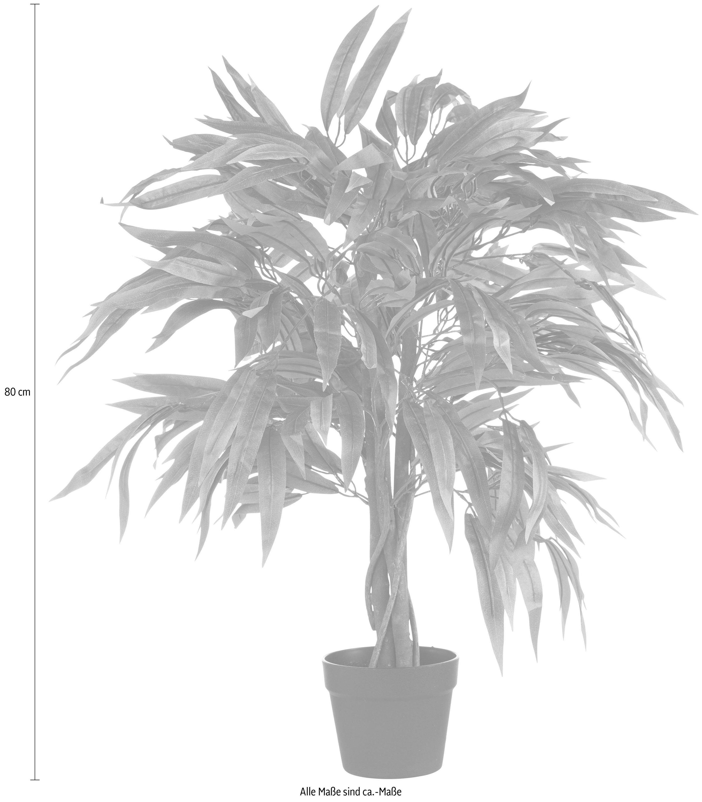 Creativ green Kunstpflanze »Weeping-Ficus«