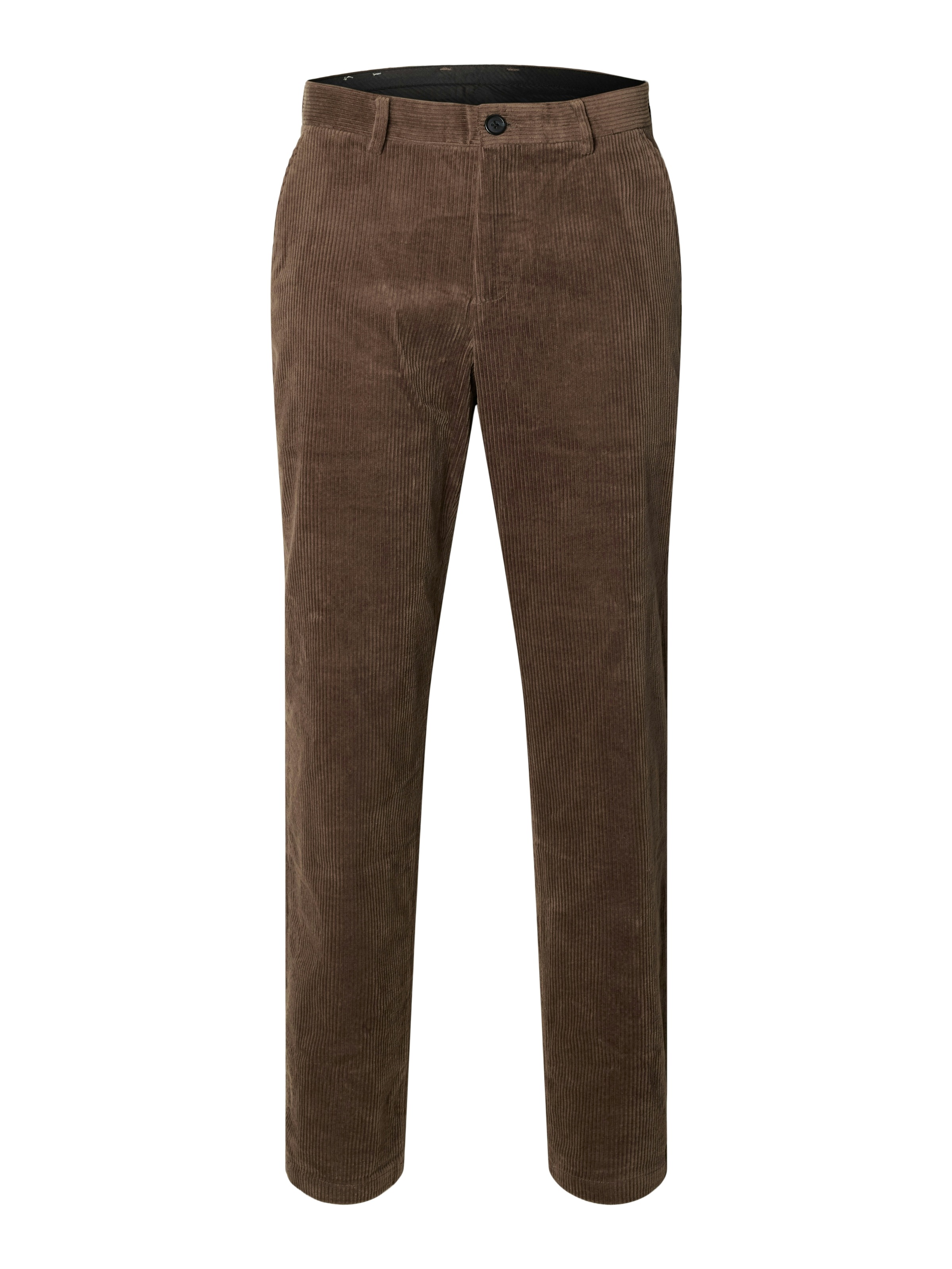 SELECTED Cordhose "SLHREG-TAPERED MATT CORD PANTS" günstig online kaufen