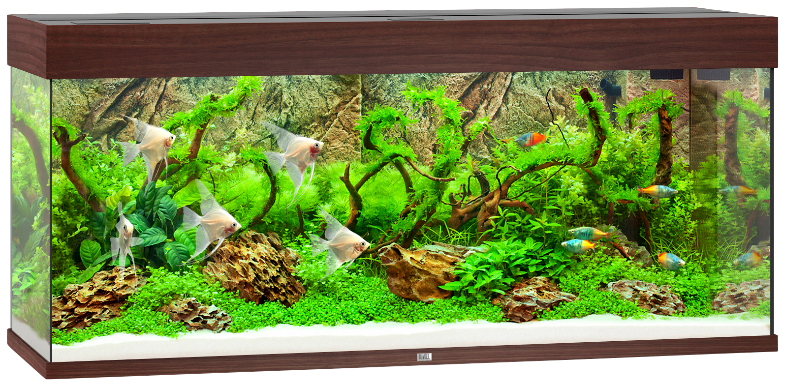 Aquarium »Rio 240 LED«, BxTxH: 121x41x55 cm, 240 l, inkl. MultiLux LED Einsatzleuchte