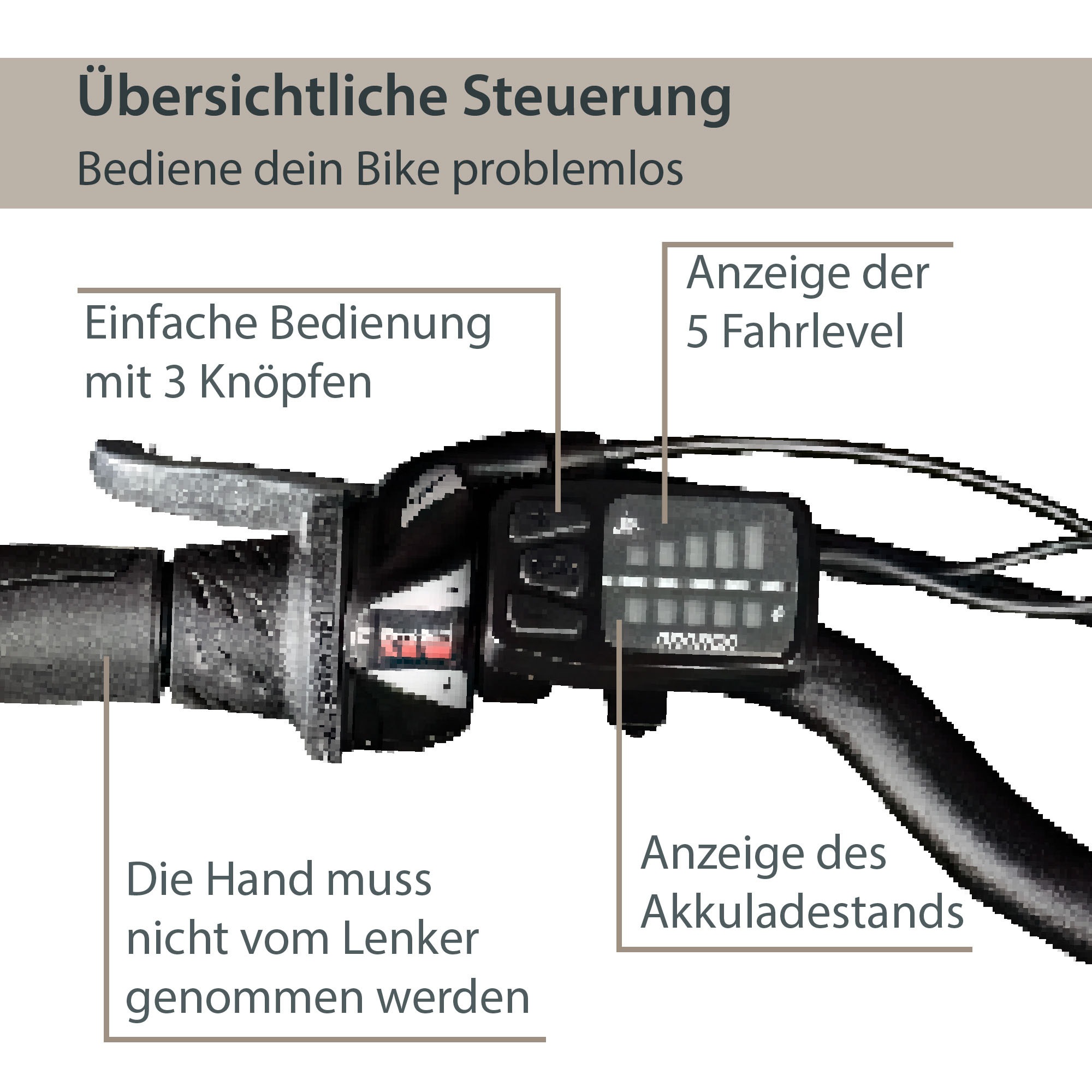 AGON E-Bike »Avesa«, 21 Gang, Heckmotor 250 W, Pedelec, Elektrofahrrad für Damen u. Herren