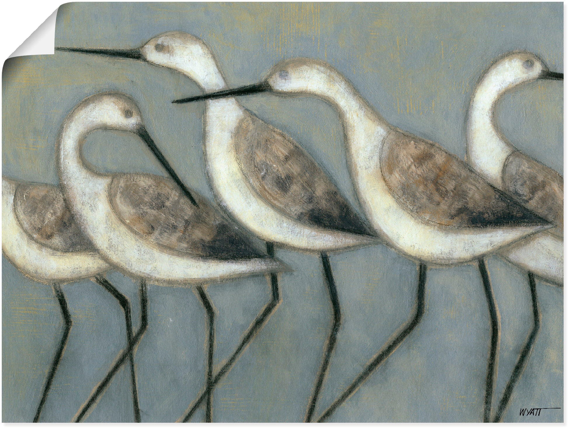 Artland Wandbild "Küstenvögel I" Vögel 1 Stk. tlg. als Leinwandbild, Poster in verschied. Größen