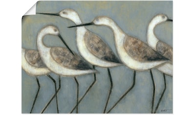 Artland Wandbild »Küstenvögel I«, Vögel, (1 St.), in vielen Größen & Produktarten -... kaufen