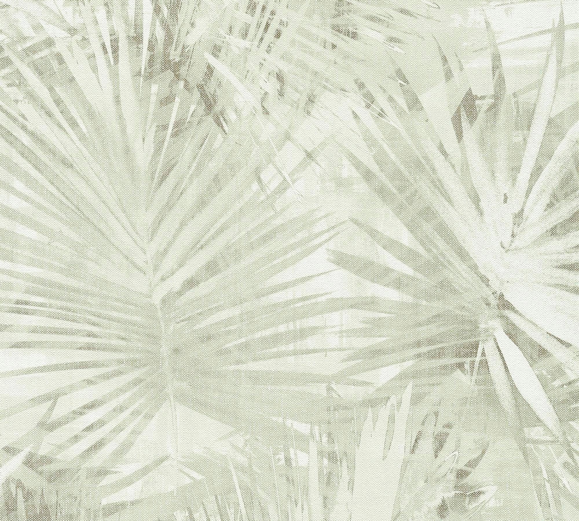 matt-tropisch, | A.S. »Attractive BAUR Dschungeltapete 2 Création Creme strukturiert bestellen Palmentapete Grün Palmentapete«, Vliestapete