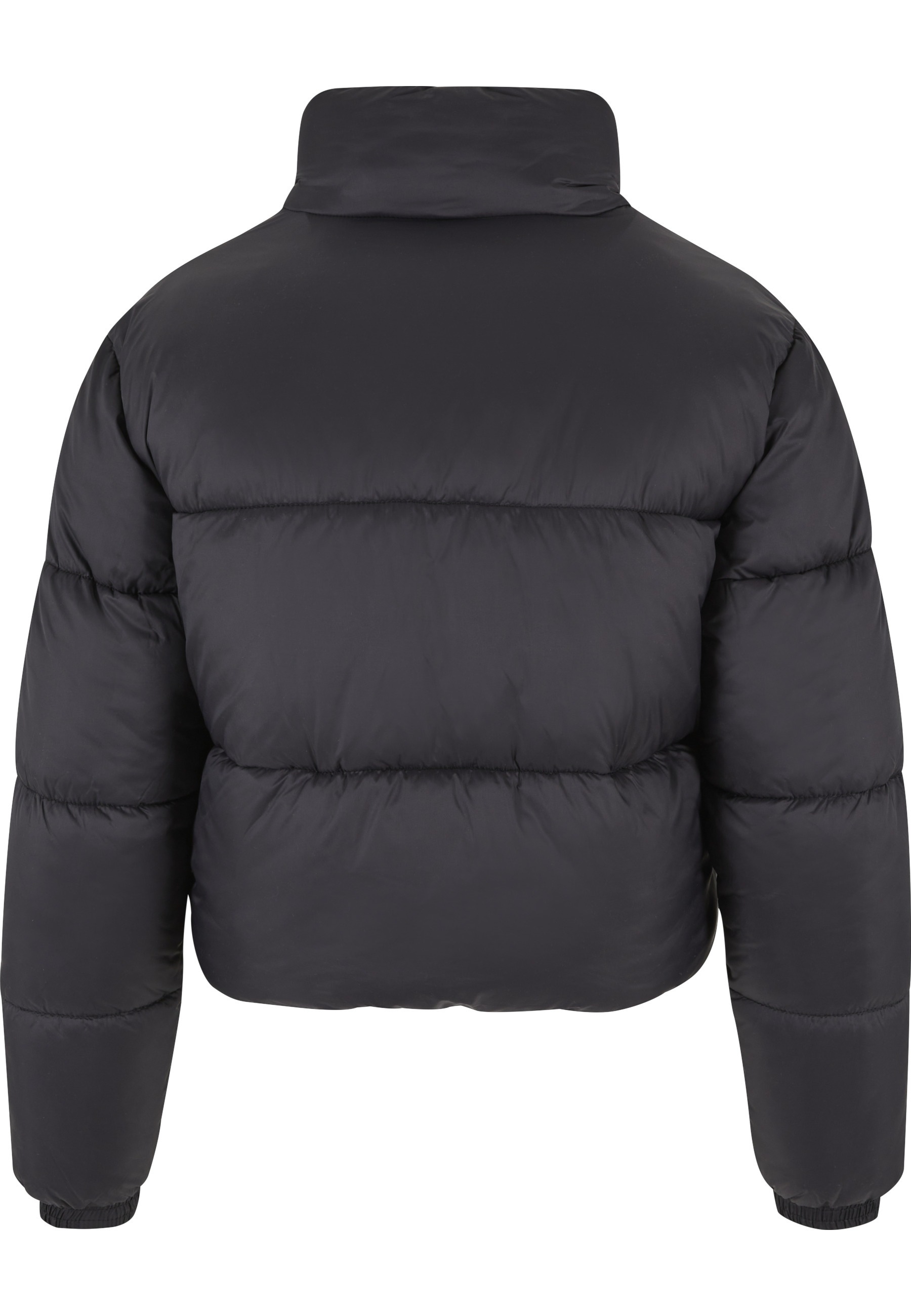 Karl Kani Winterjacke »Karl Kani Karl Kani Sport Patch Crop Puffer Jacket« 1 Stk. tlg. ohne Kapuze
