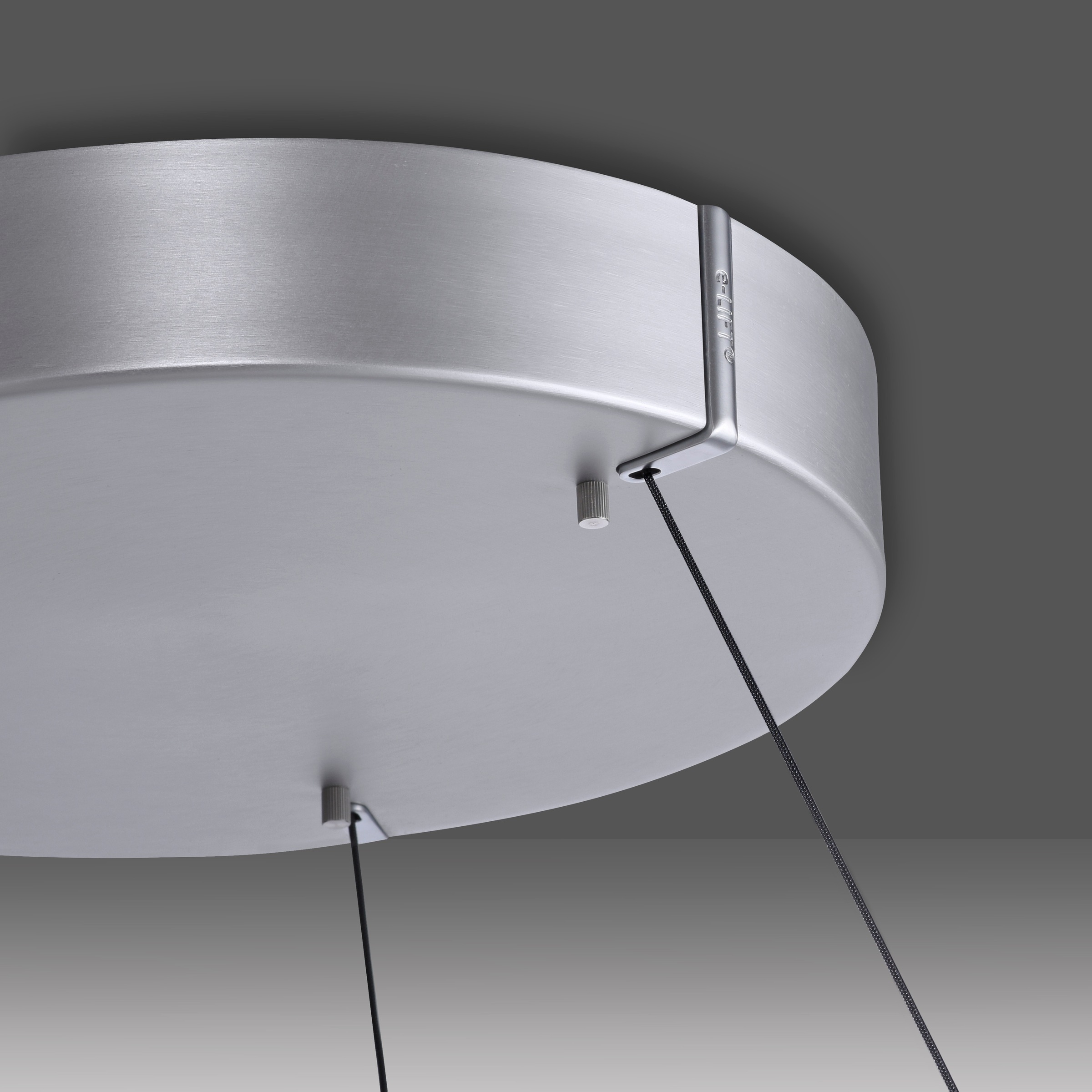 Neuhaus PURE LED Pendelleuchte »PURE E-Loop« LED-Board 1 Stk. warmweiß - kaltweiß e-LIFT® Funktion, CCT, dimmbar über Fernbedienung