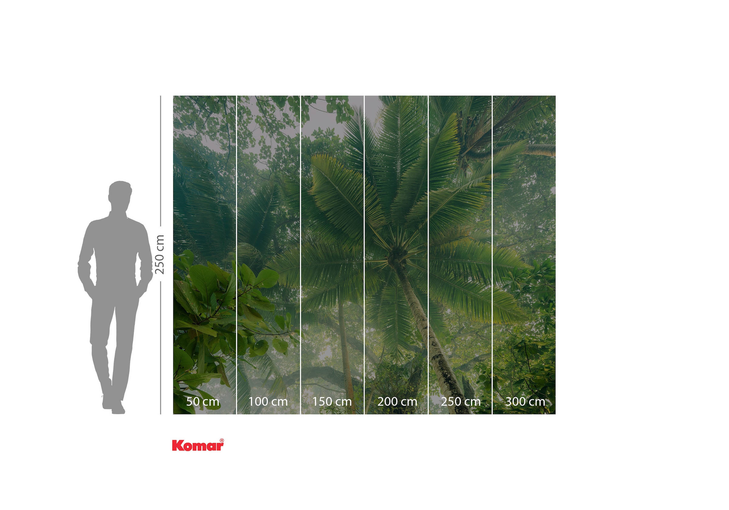 Komar Fototapete »Vlies Fototapete - Climber Canopy - Größe 300 x 250 cm«, botanisch-floral-geblümt-gemustert-tropisch, Vom Design bis zum Druck Made in Germany