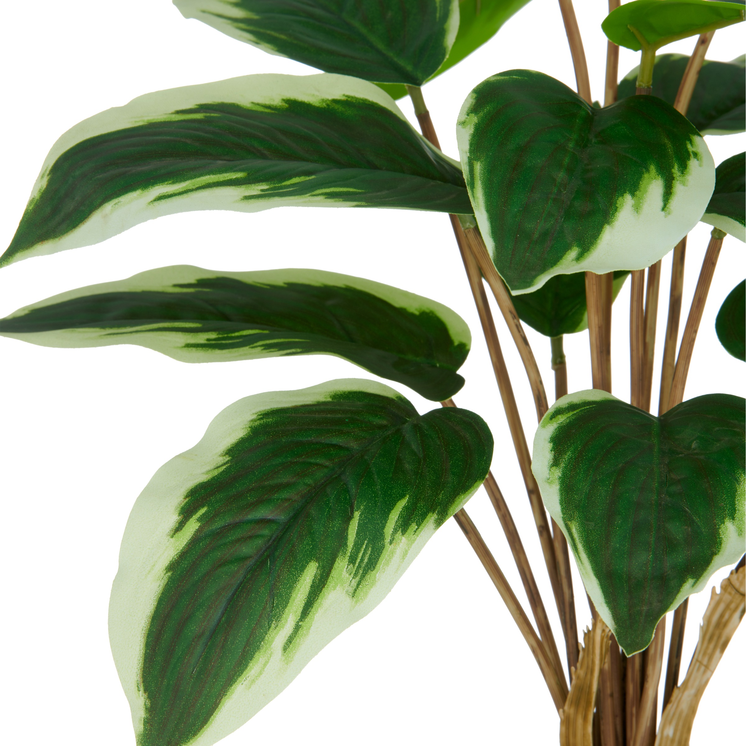 Creativ green Kunstpflanze »Hosta«, mit naturgetreuem Blattwerk