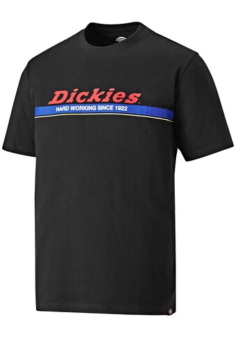 Dickies Marškinėliai »Newton«