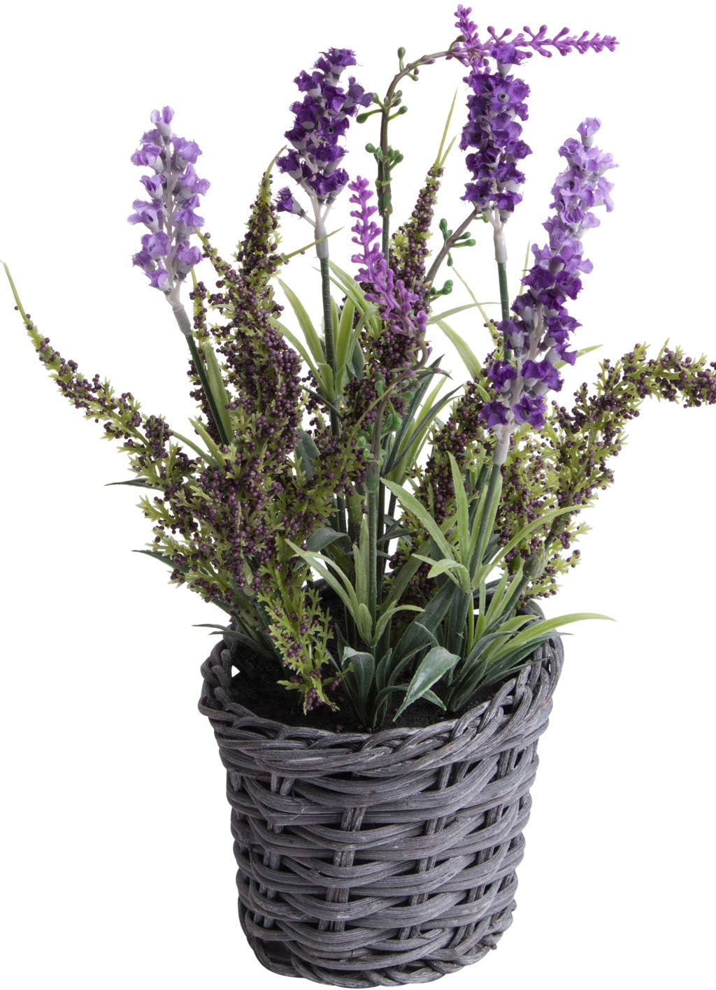 Botanic-Haus Künstliche Zimmerpflanze »Lavendel - Erika Arrangement im  Korb« kaufen | BAUR