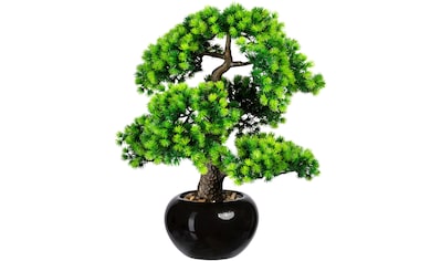 Creativ green Kunstbonsai »Bonsai« bestellen | BAUR