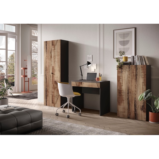 LC Aktenschrank »Basic, Büroschrank mit 2 Türen (3 Einlegeböden),«, hoher  Mehrzweckschrank in verschiedenen Farben, B 63 x H 184 cm | BAUR