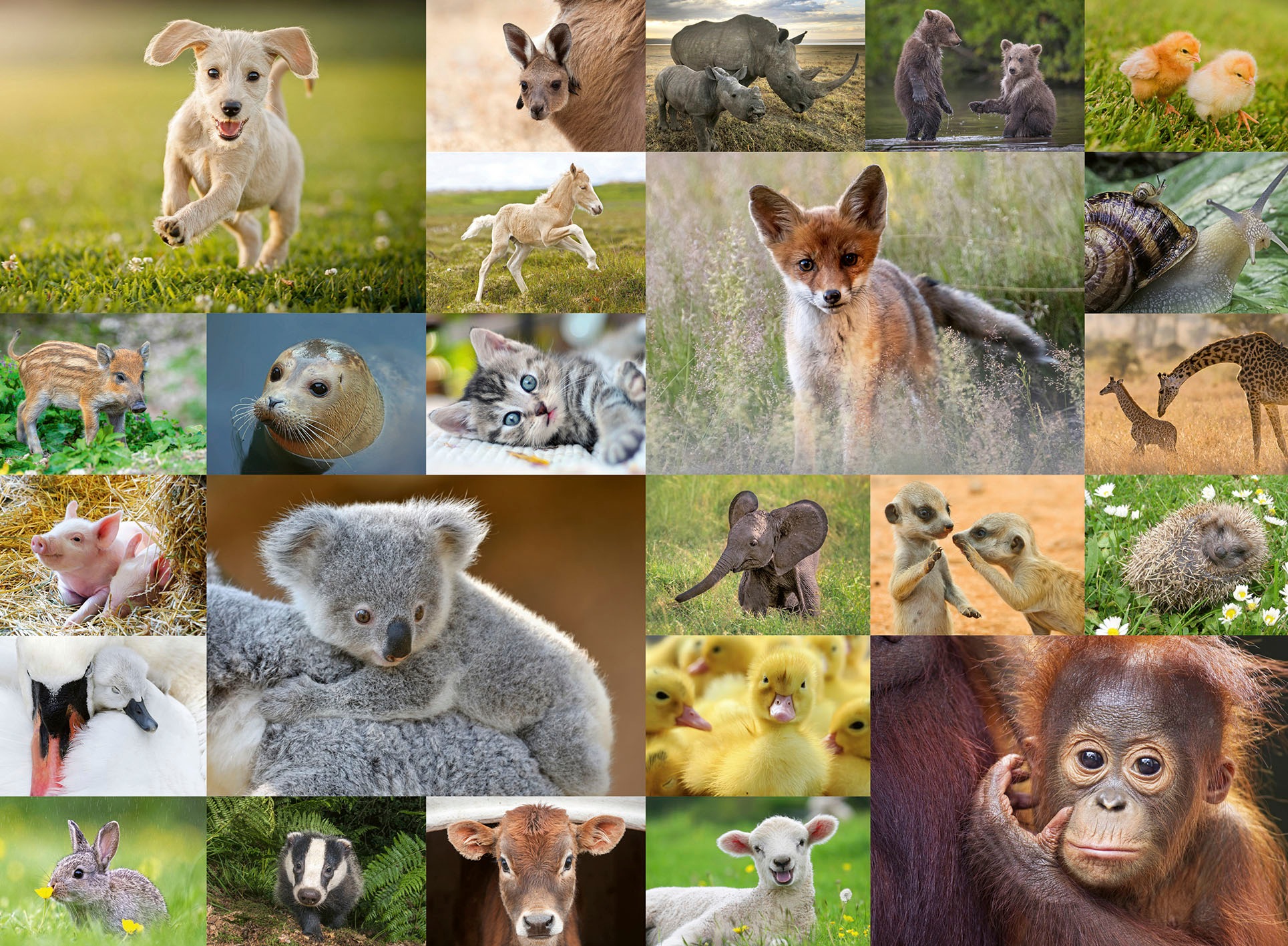 Ravensburger Puzzle »Süße Tierbabys«, Made in Germany