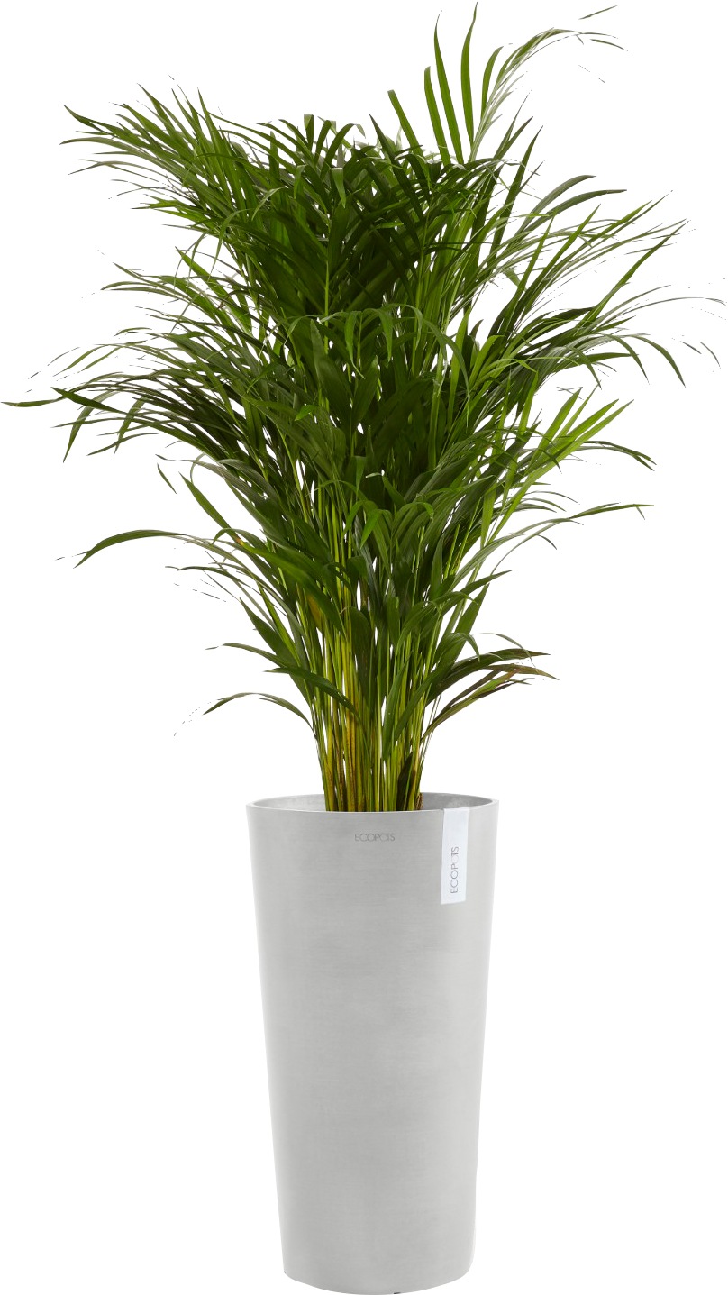 ECOPOTS Blumentopf »AMSTERDAM HIGH White Grey«, BxTxH: 41x41x76 cm