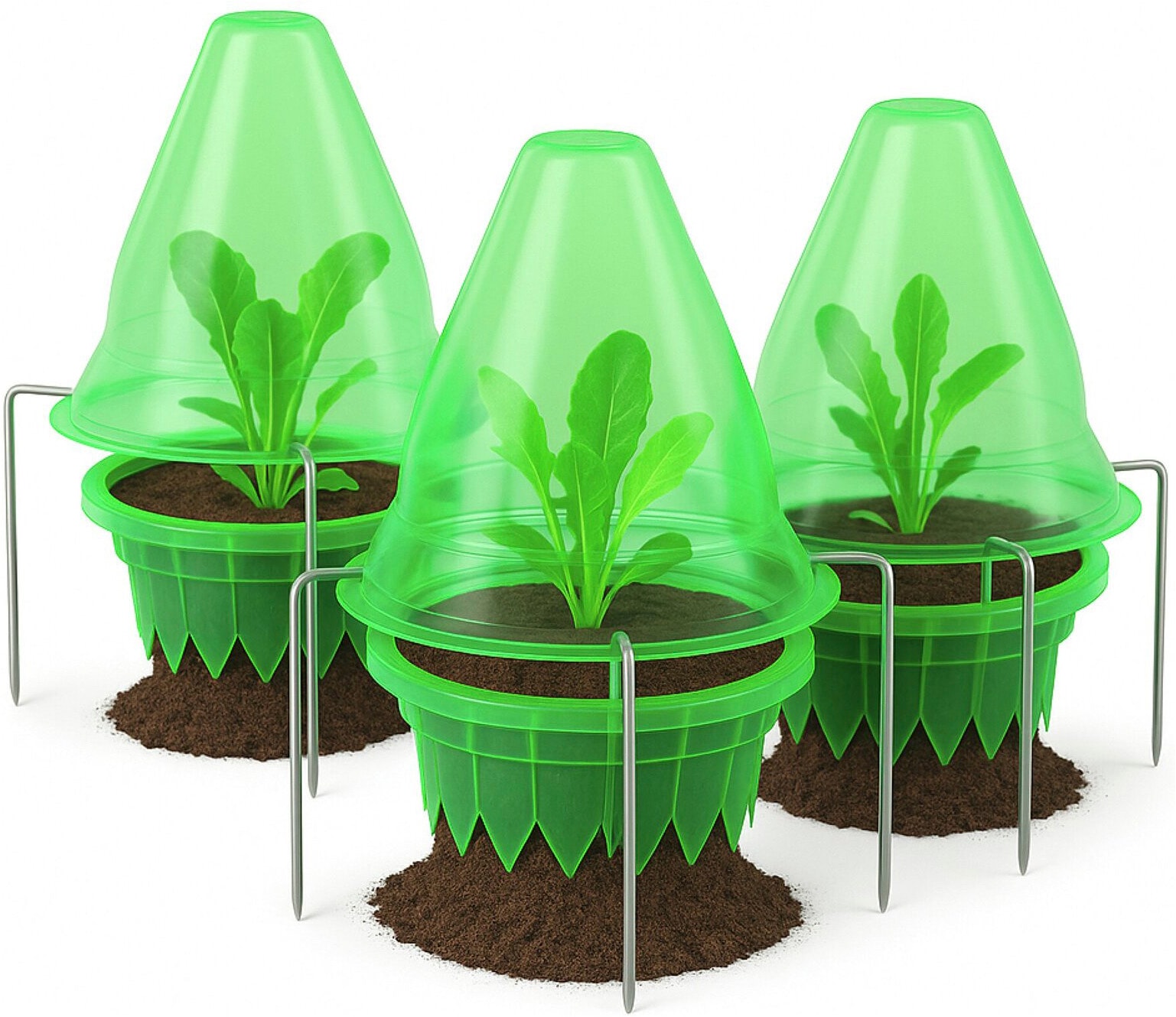 Maximex Pflanzenschutzdach »3 Stück Pflanzendom 3in1« Anzuchtglocke, Schneckenabwehr & Bewässerungsring, für Beet & Hochbeet