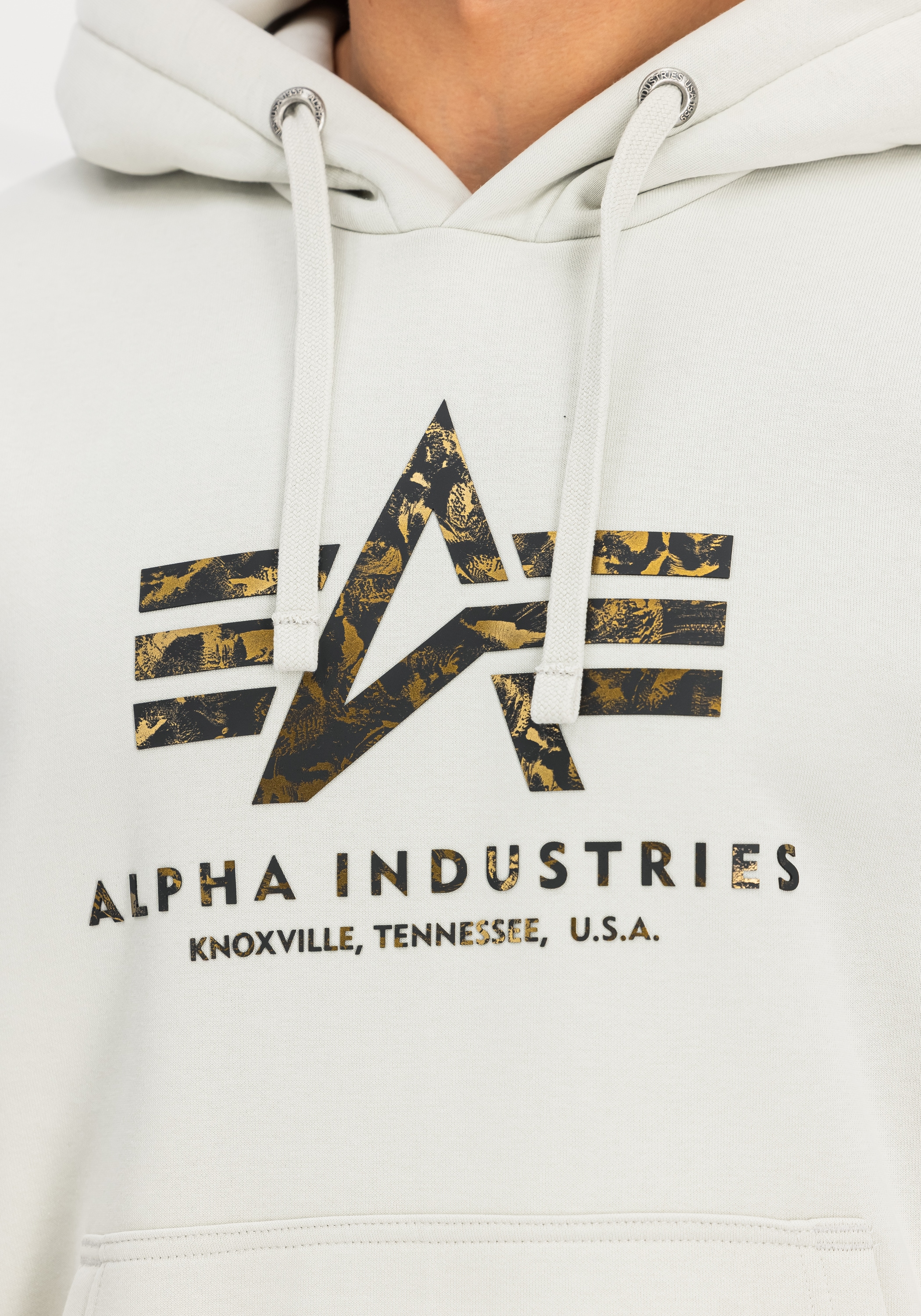 Alpha Industries Hoodie »Basic Hoodie BL Effect Print«

