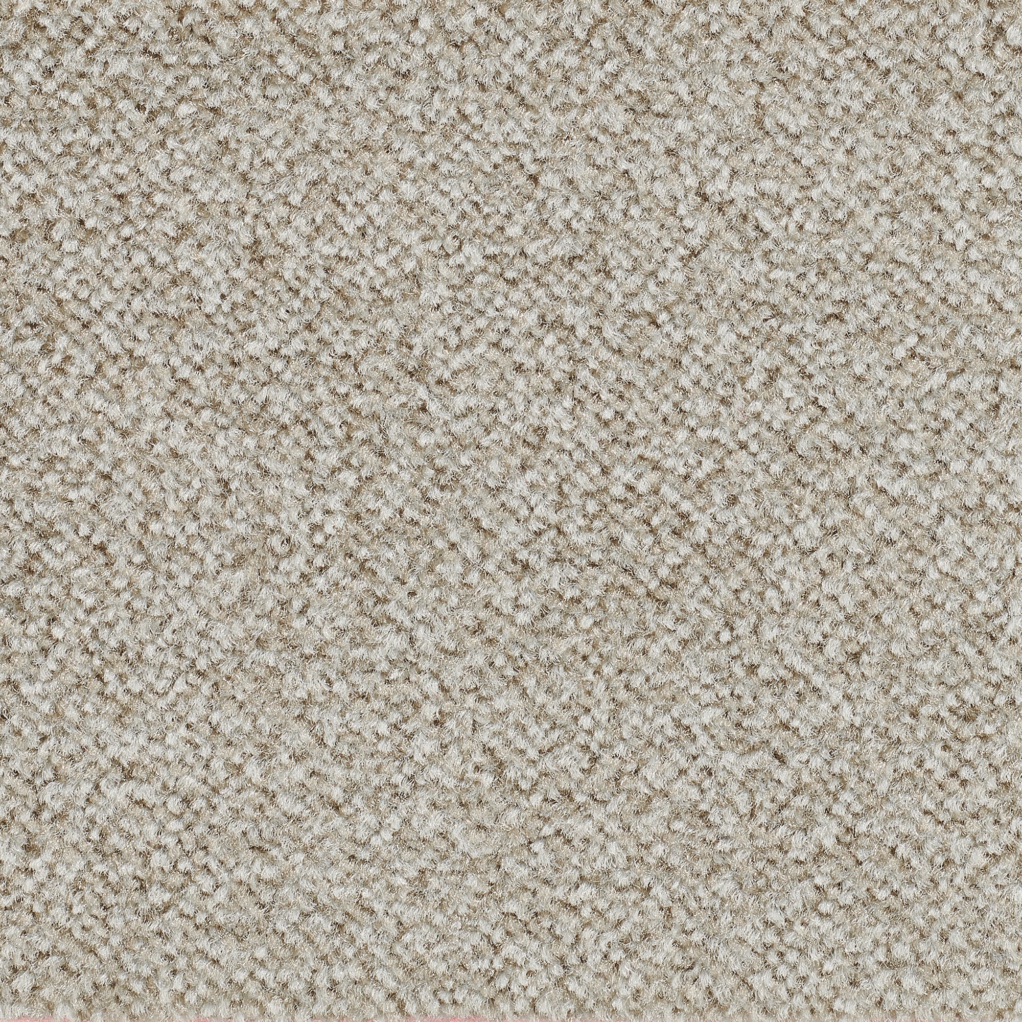 auf BAUR | Teppichboden Rechnung rechteckig, »Juno«, Bodenmeister fußbodenheizungsgeeignet
