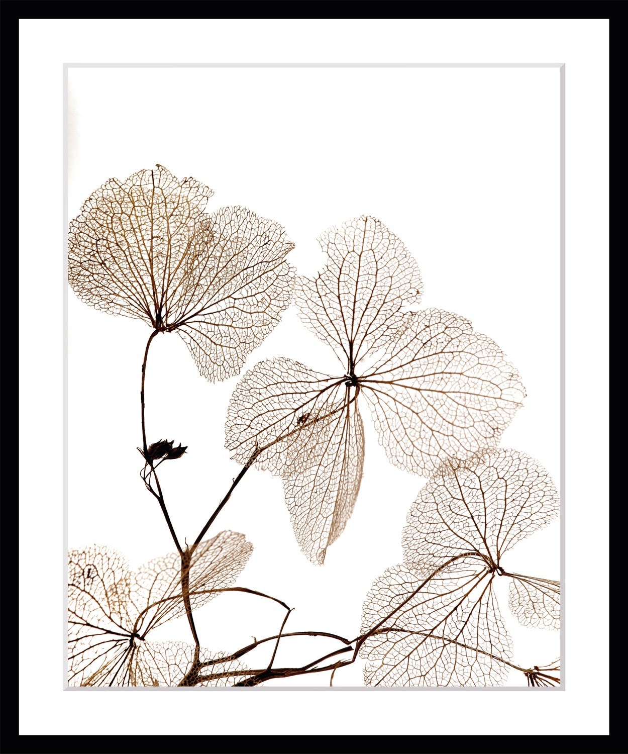 queence Paveikslas »Ina« Blumen Blumen gerahmt...