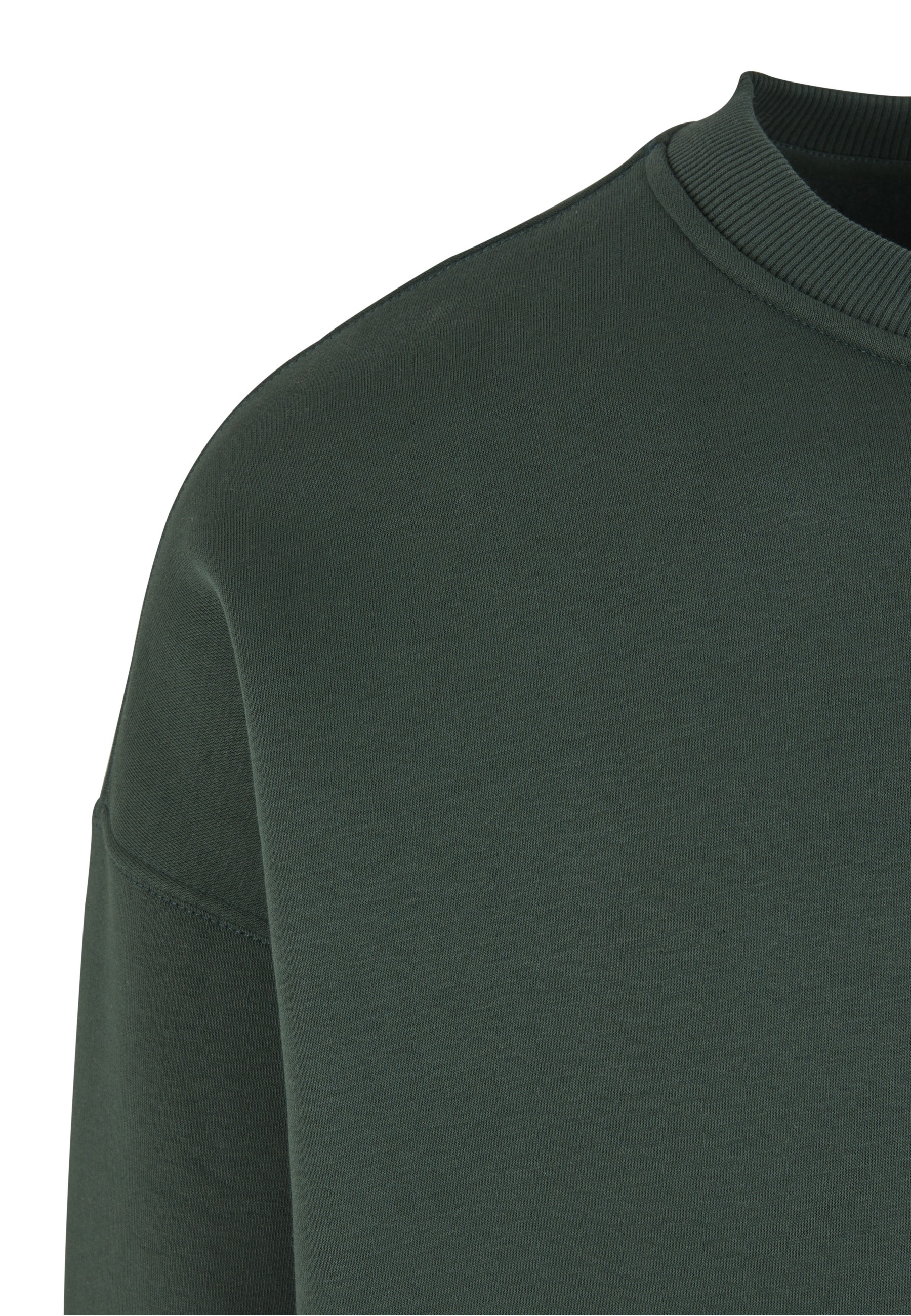 Another Cotton Lab Sweater »Another Cotton Lab«, 1
