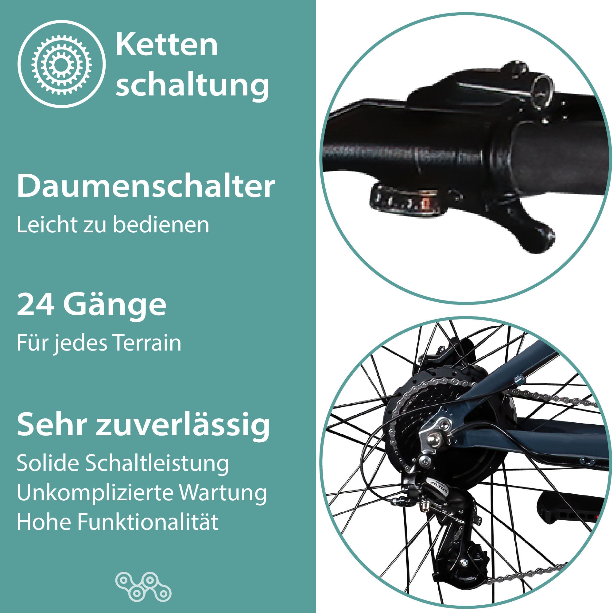 Tretwerk E-Bike »Commander Plus«, 24 Gang, Shimano, Altus M310, Heckmotor 250 W