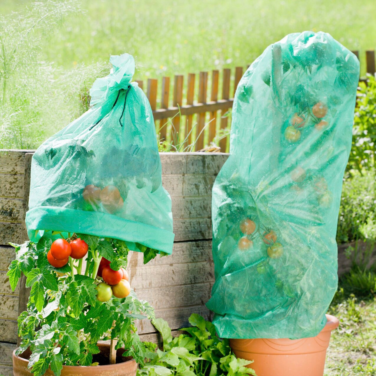 Windhager Winterschutzvlies »Wachstumsvlies«, Tomaten-Vliesschlauch, BxL: 160x500 cm