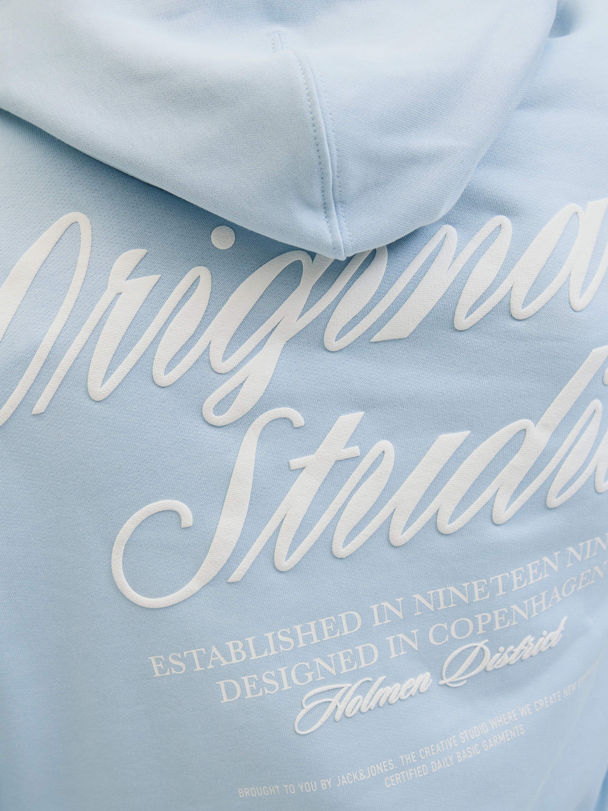 Jack & Jones Kapuzensweatshirt »JORNORREBRO TYPO BACK SWEAT HOOD SN«, mit Print
