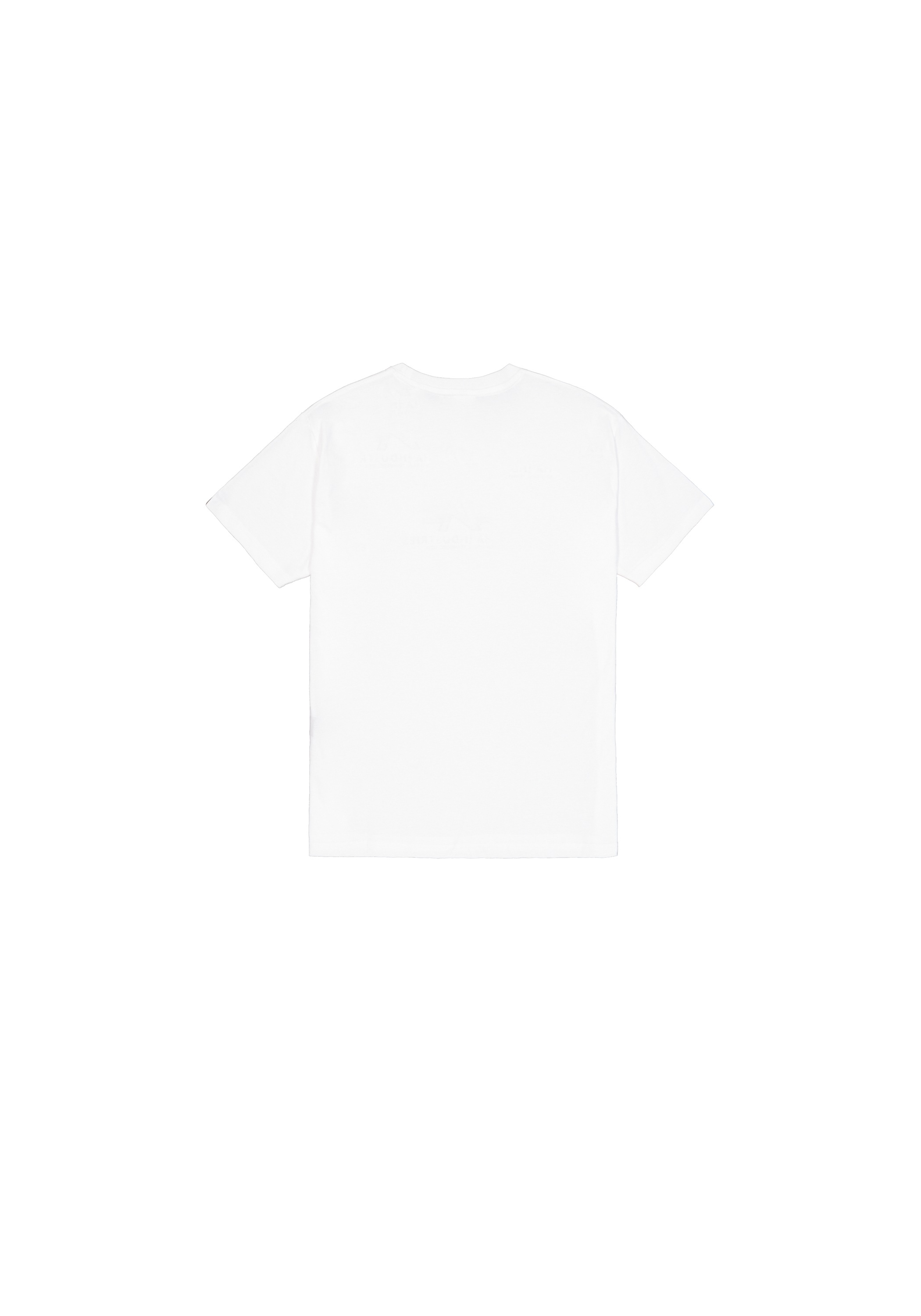 Alpha Industries T-Shirt »NASA Refl. T Metal«