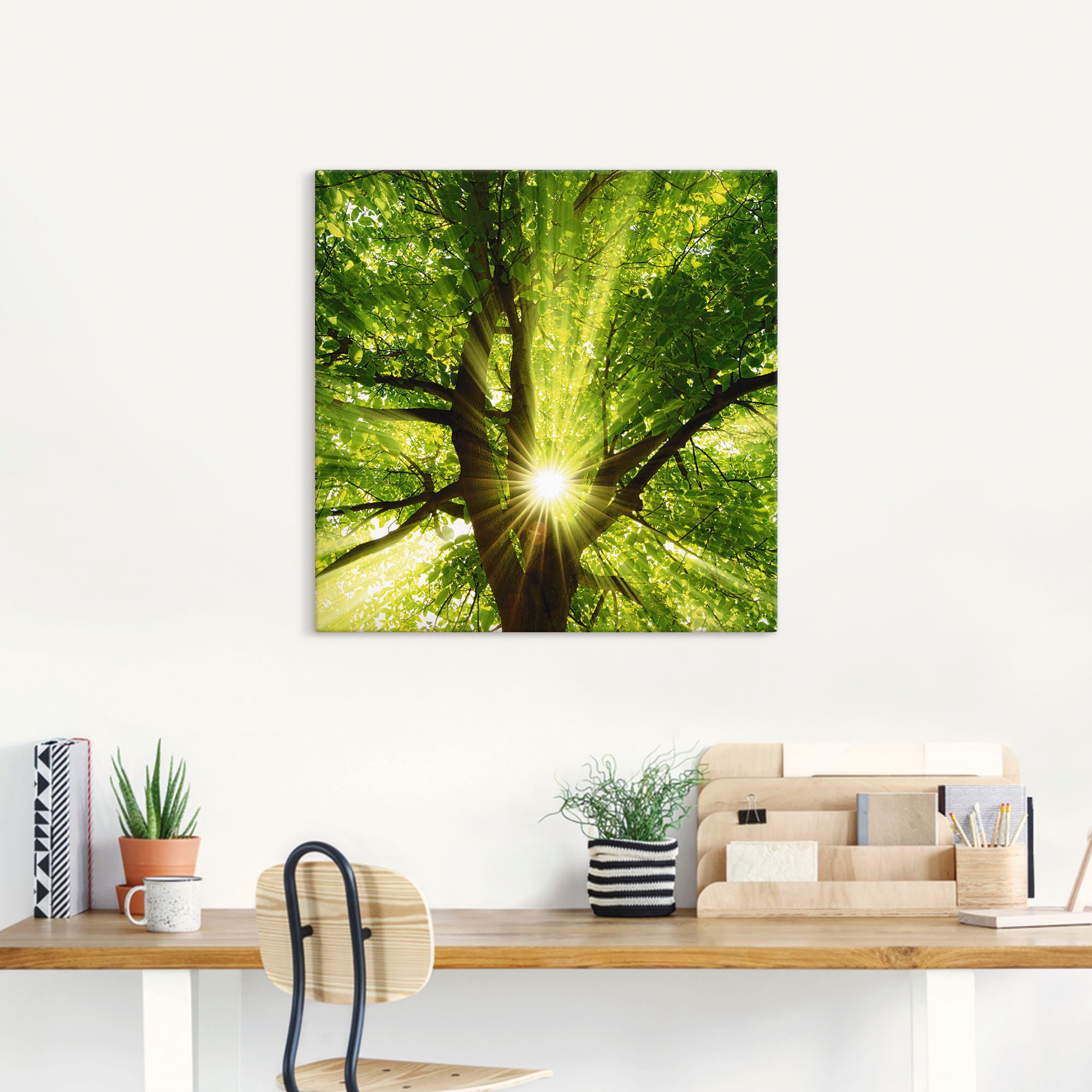 Artland Wandbild »Sonne strahlt explosiv durch den Baum«, Bäume, (1 St.), als Leinwandbild, Poster, Wandaufkleber in verschied. Größen