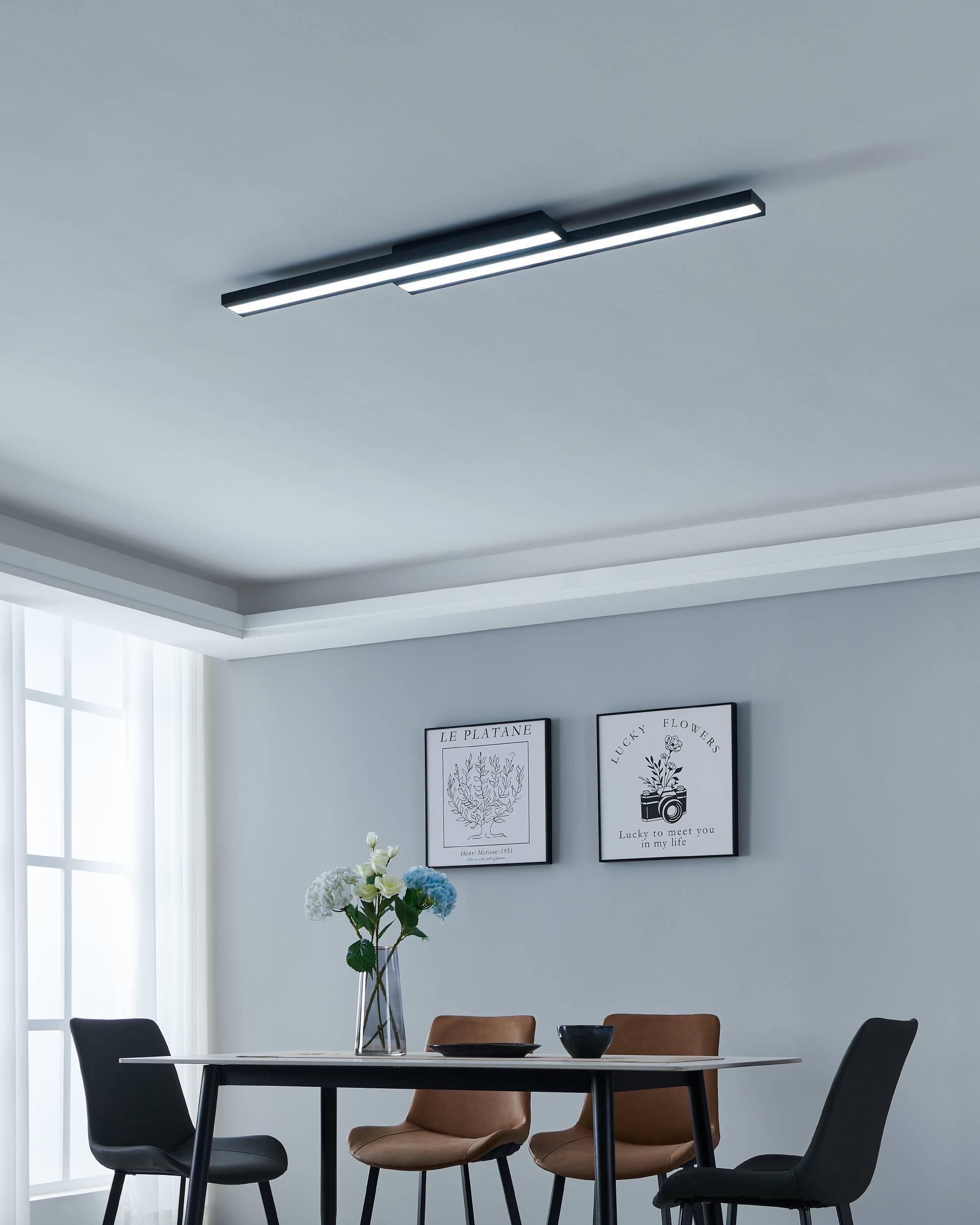 EGLO Deckenleuchte »SALITERAS-Z« in schwarz aus Stahl / inkl. LED fest integriert - 2 x 10,2 Watt