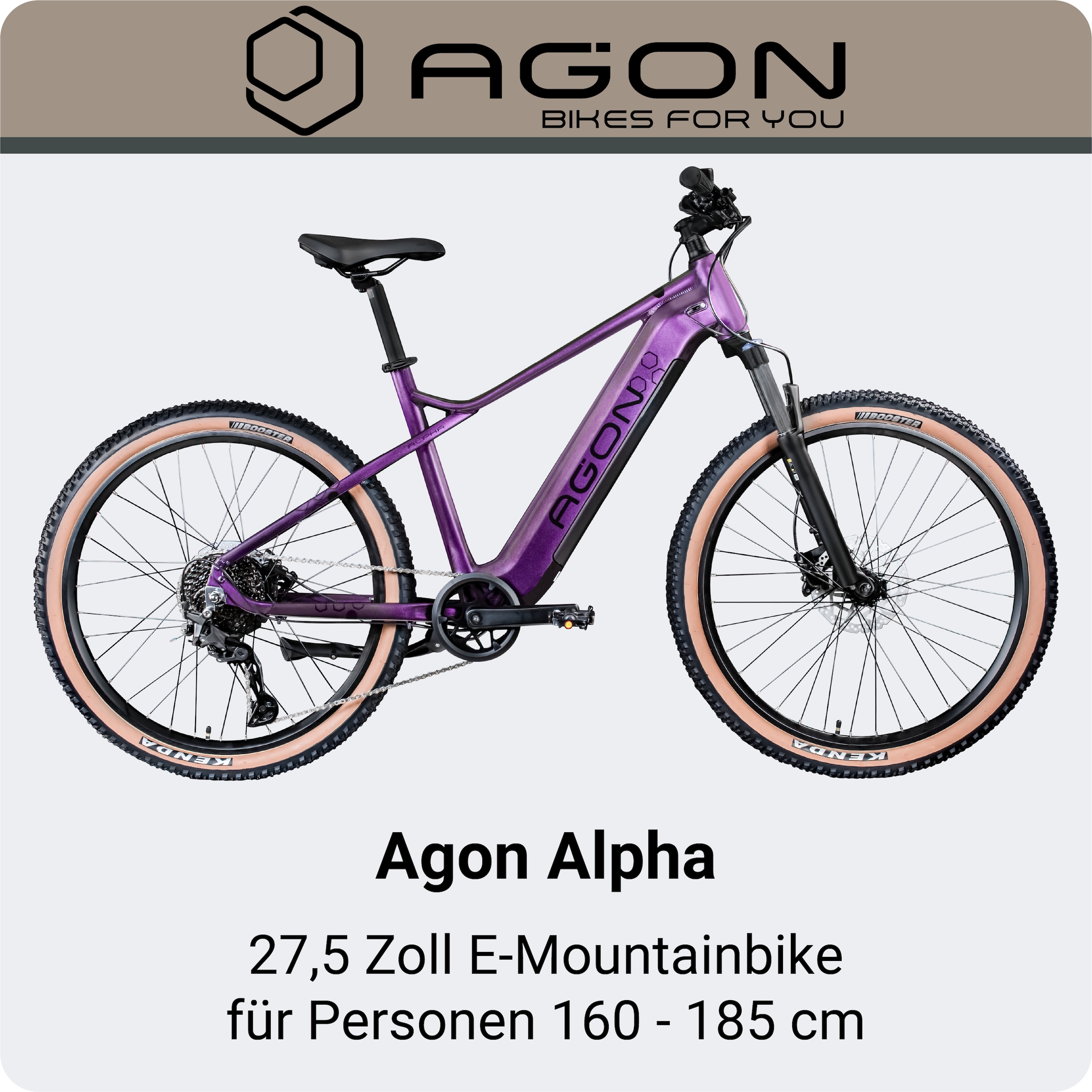 AGON »Alpha« 10 Gang Deore SGS T6000 Schaltwerk Kettenschaltung Heckmotor 250 W Pedelec, Elektrofahrrad für Damen u. Herren, MTB