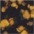 Frosted-Floral-Ditsy