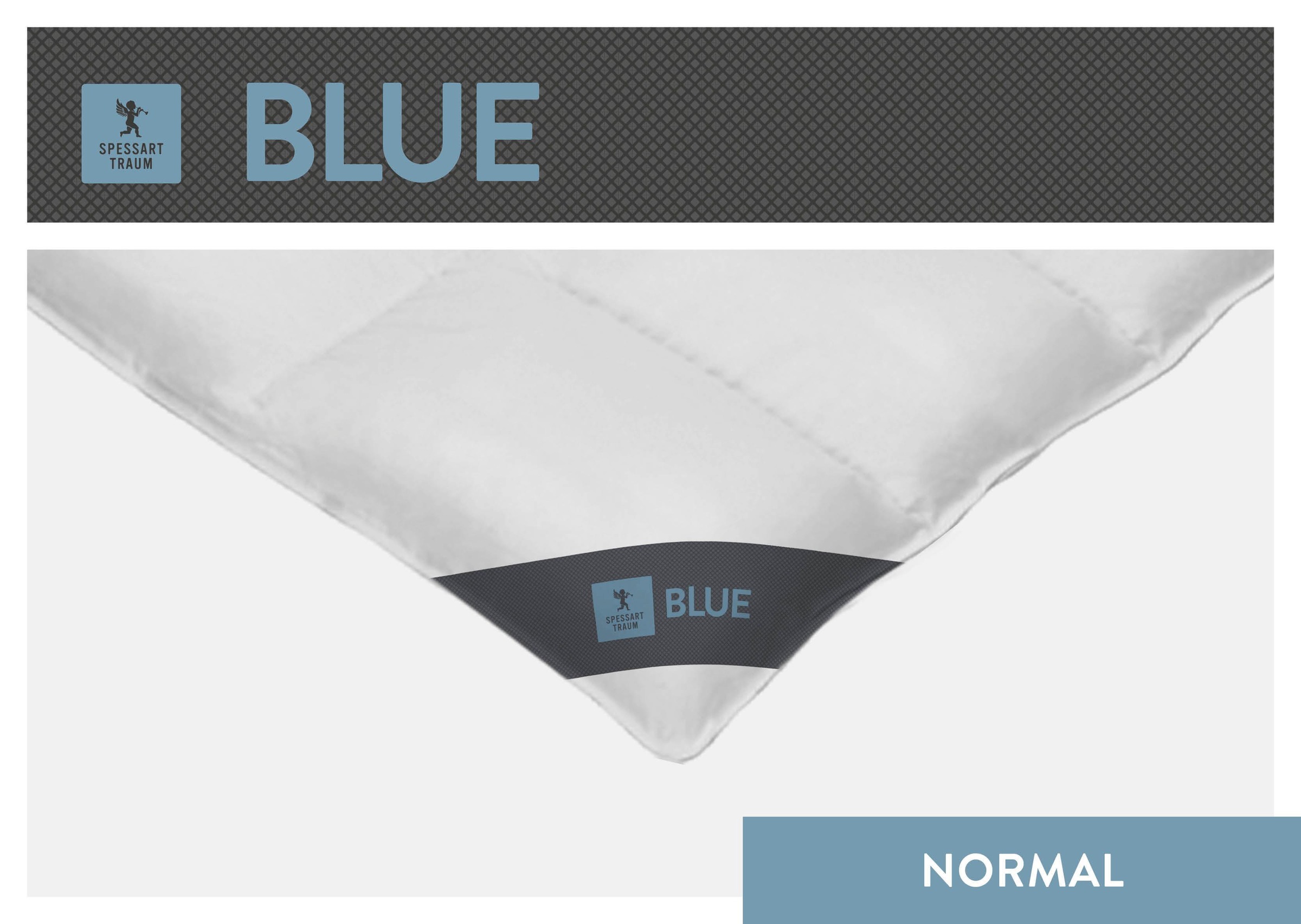 SPESSARTTRAUM Daunenbettdecke »Blue«, normal, Füllung 60% Daunen, 40% Federn, Bezug 100% Baumwolle, (1 St.), hergestellt in Deutschland, allergikerfreundlich