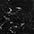 schwarz/sw