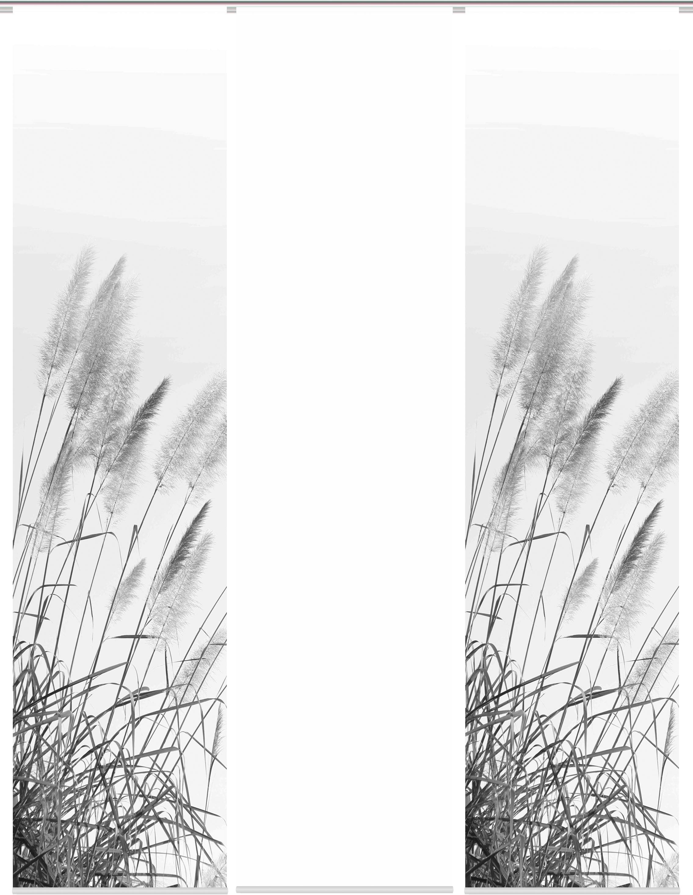 HOME WOHNIDEEN Schiebegardine »PAMPAS«, (1 St.), DIGITALDRUCK