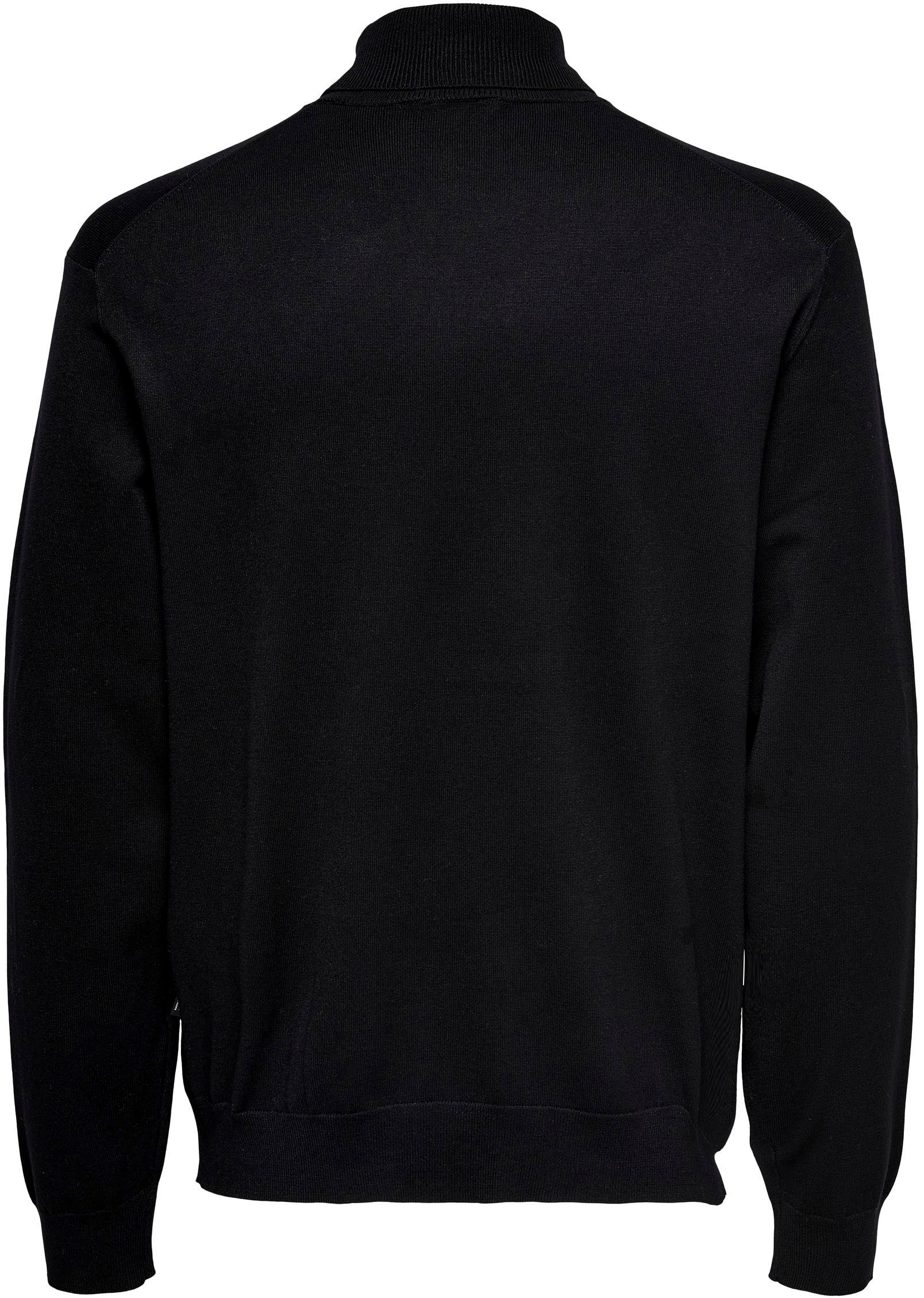 ONLY & SONS Rollkragenpullover »ONSWYLER LIFE REG ROLL NECK KNIT NOOS«